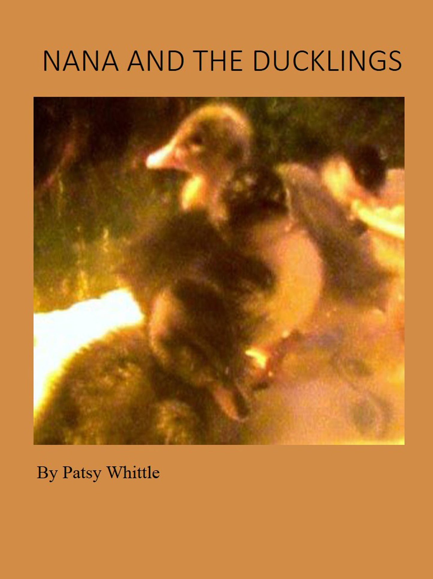 Nana and The Ducklings