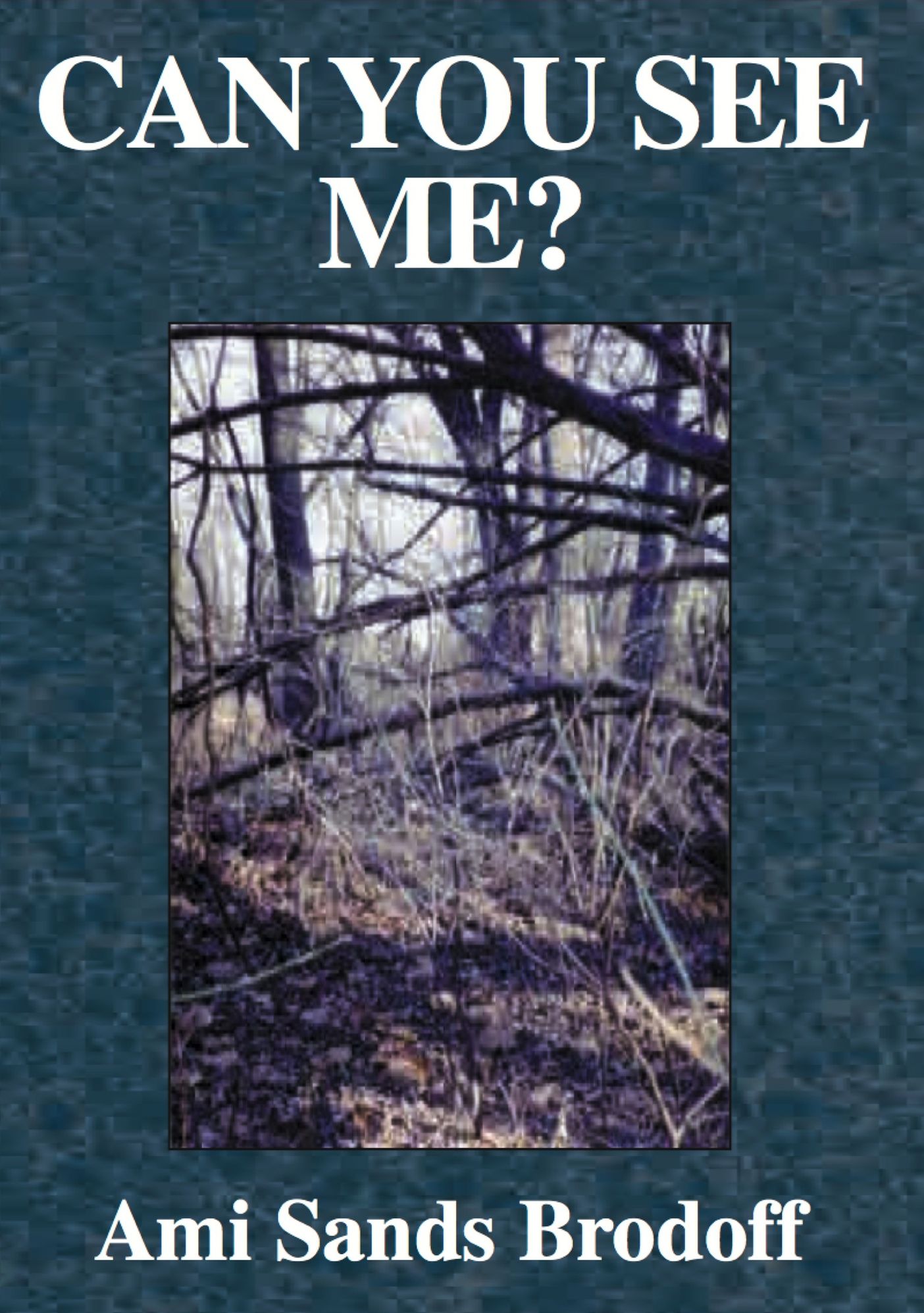 Can You See Me?