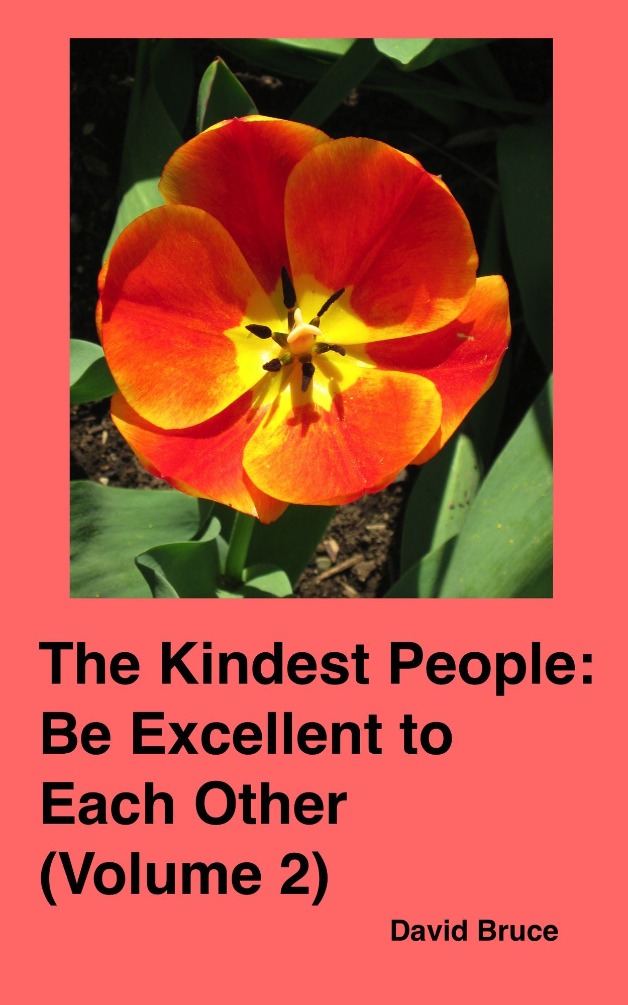 The Kindest People: Be Excellent to Each Other (Volume 2)