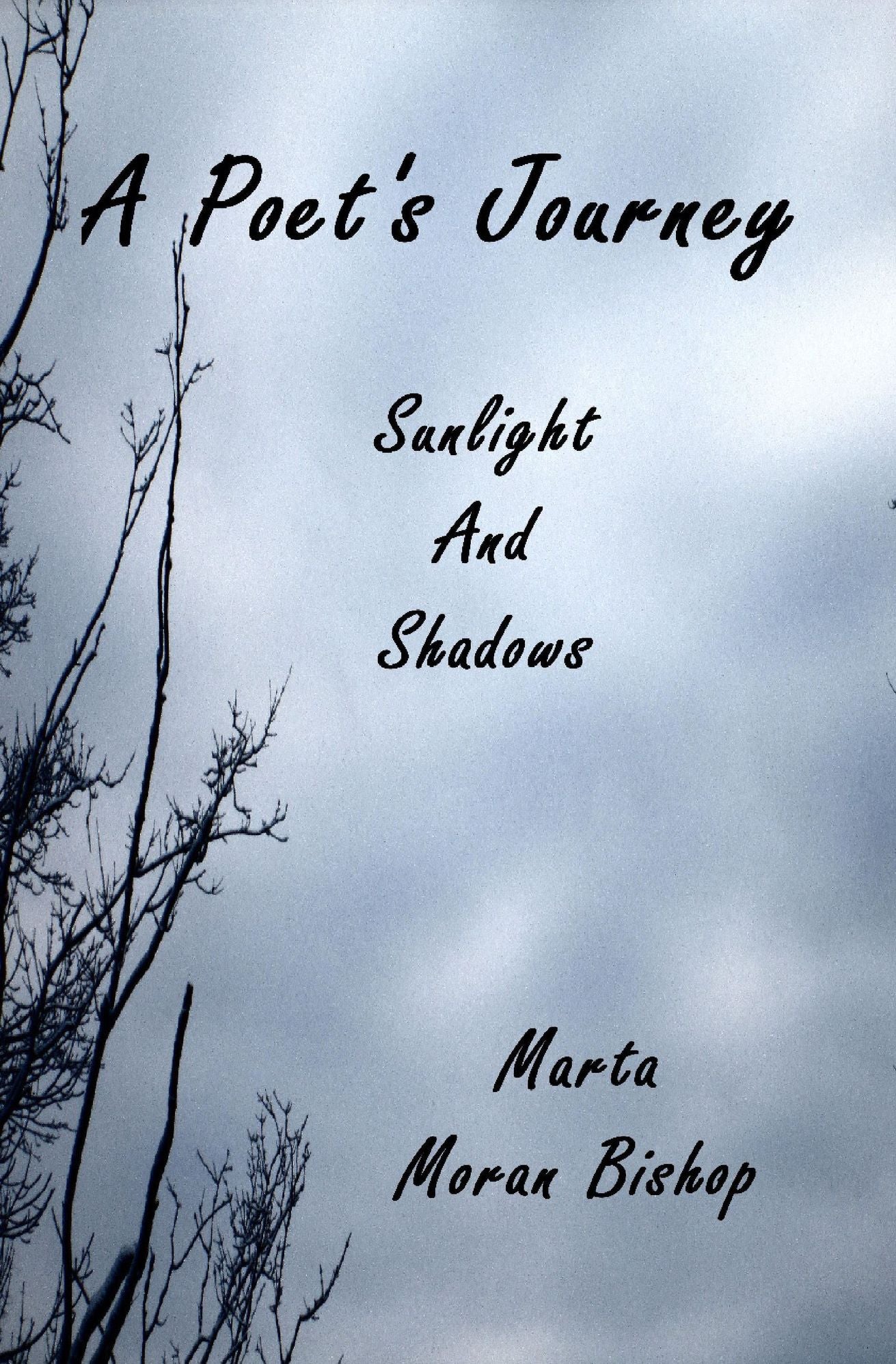 A Poet's Journey: Sunlight And Shadows