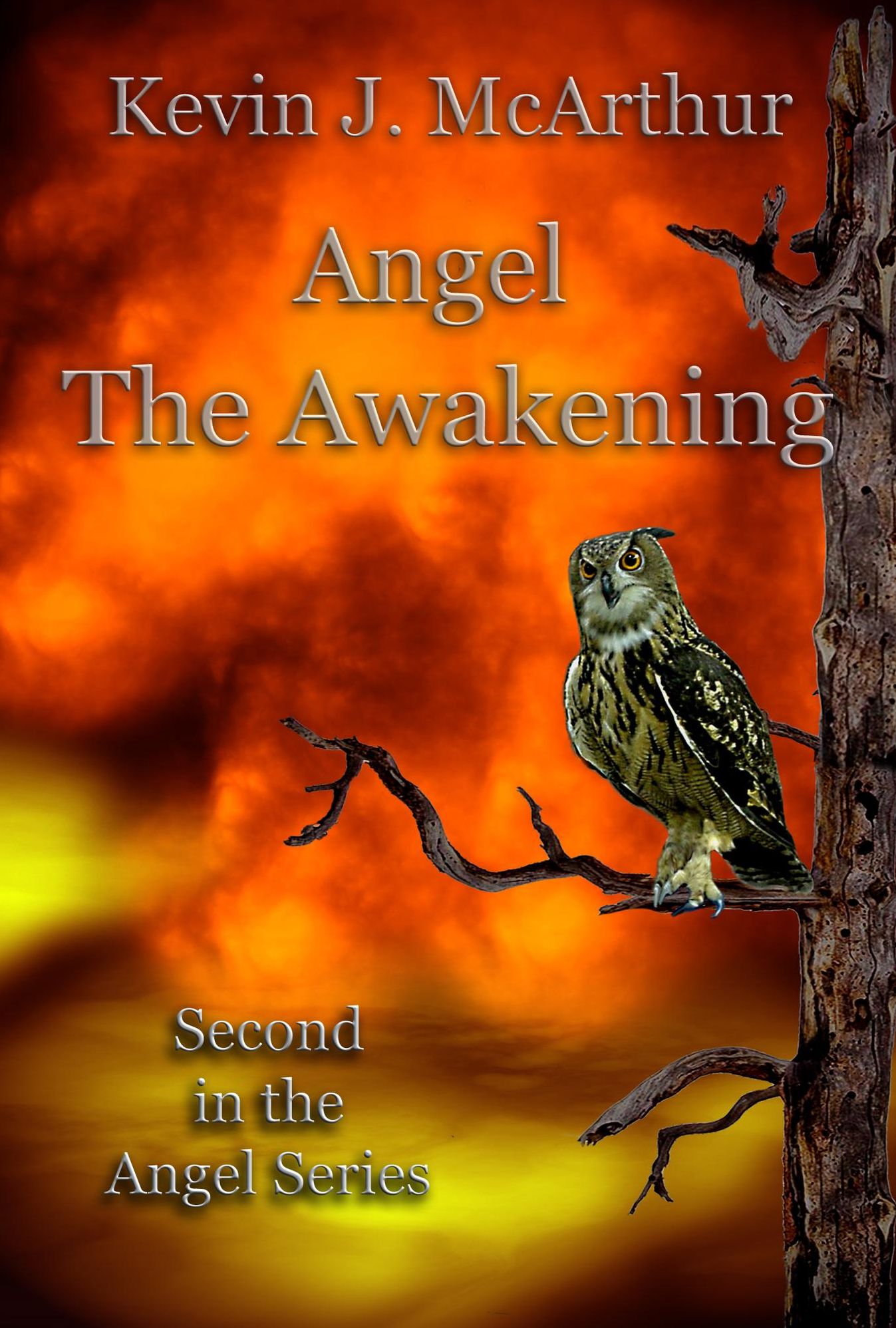 Angel The Awakening