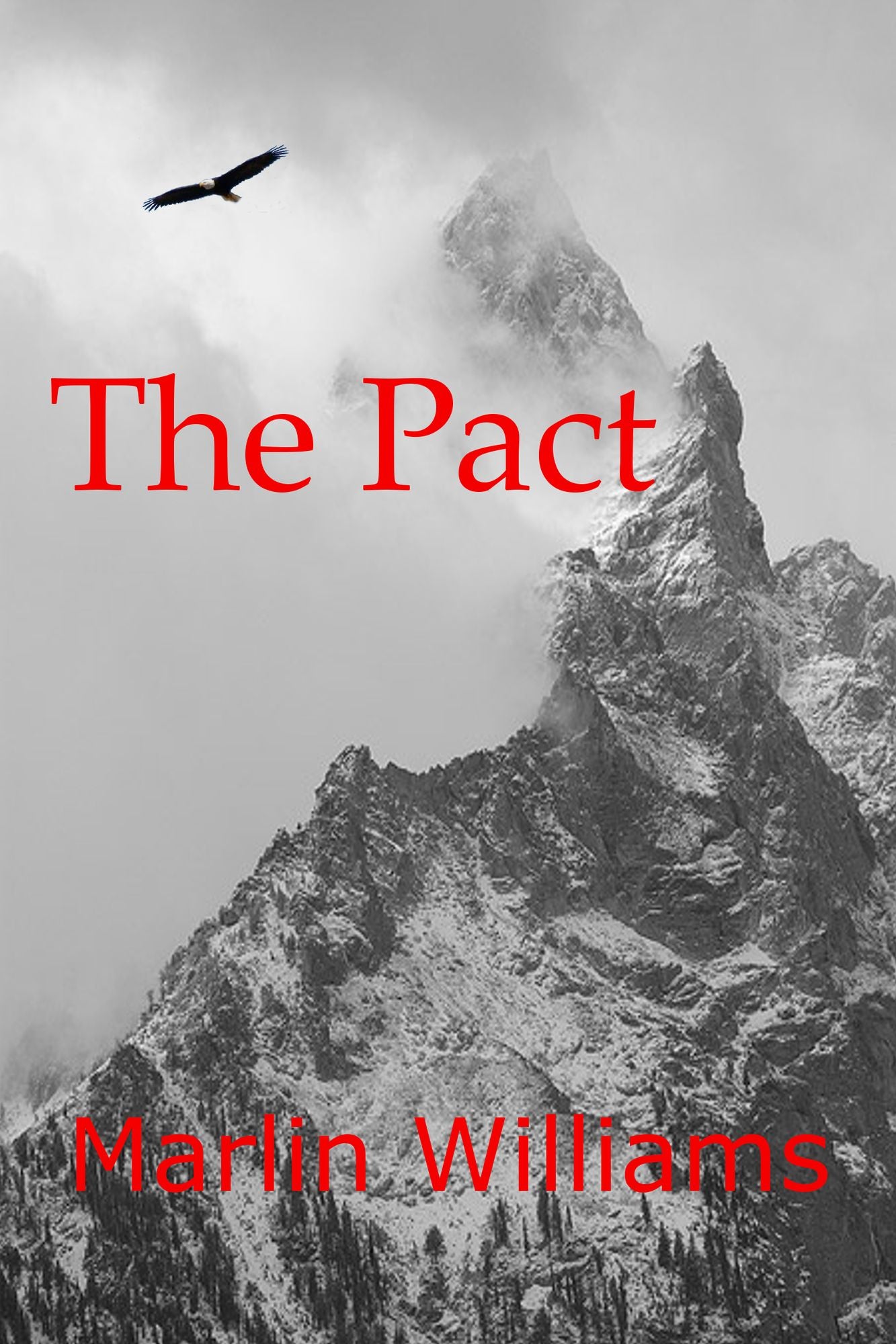 The Pact
