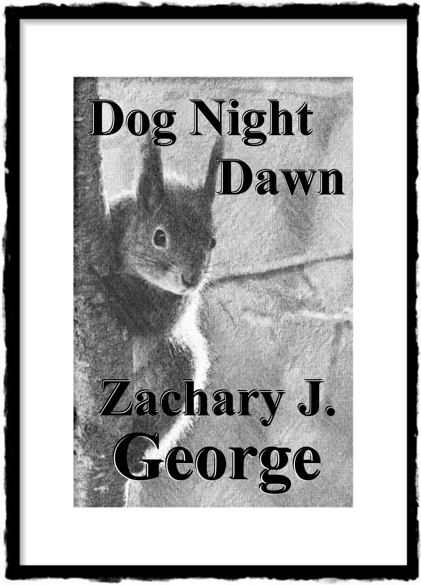 Dog Night Dawn