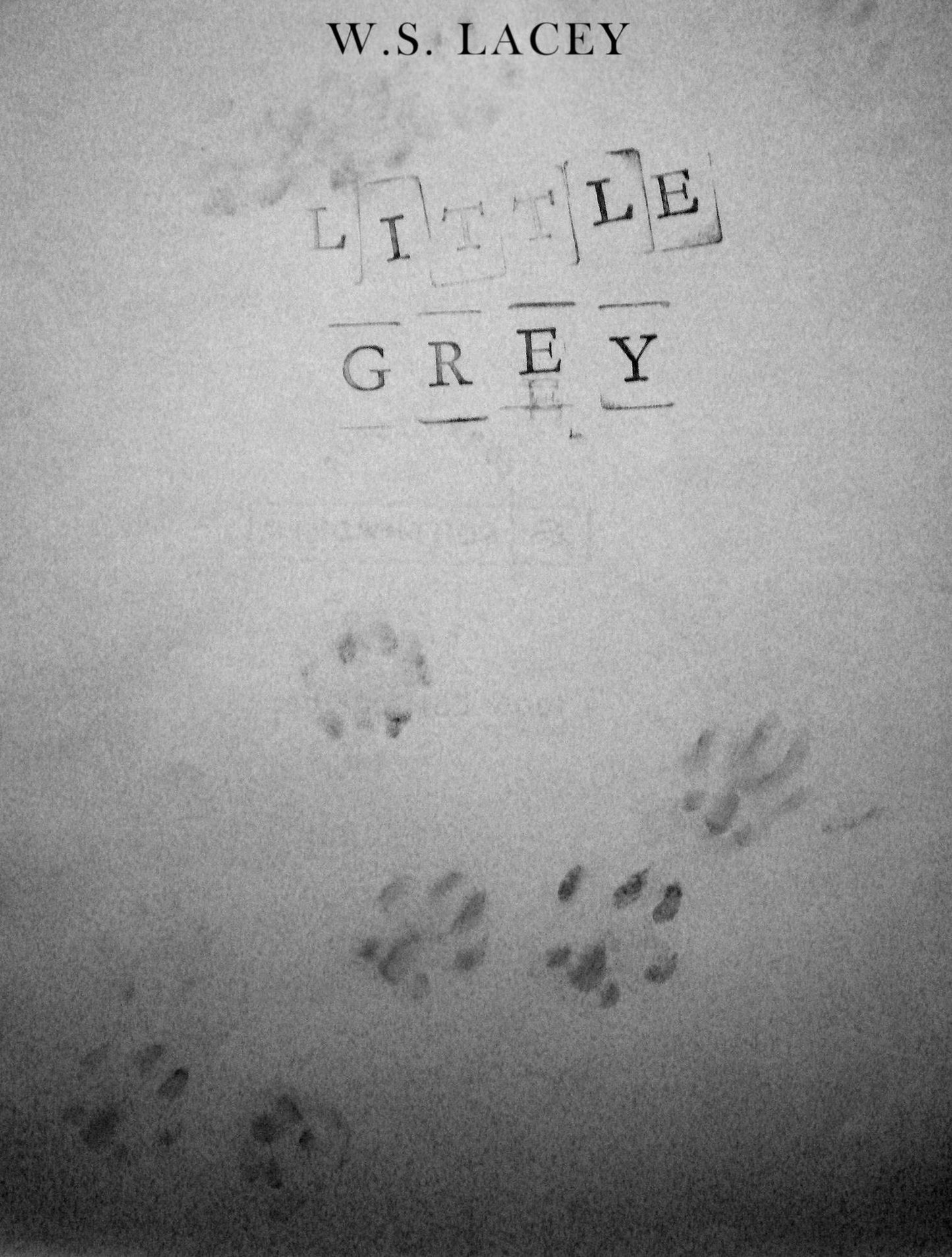 Little Grey