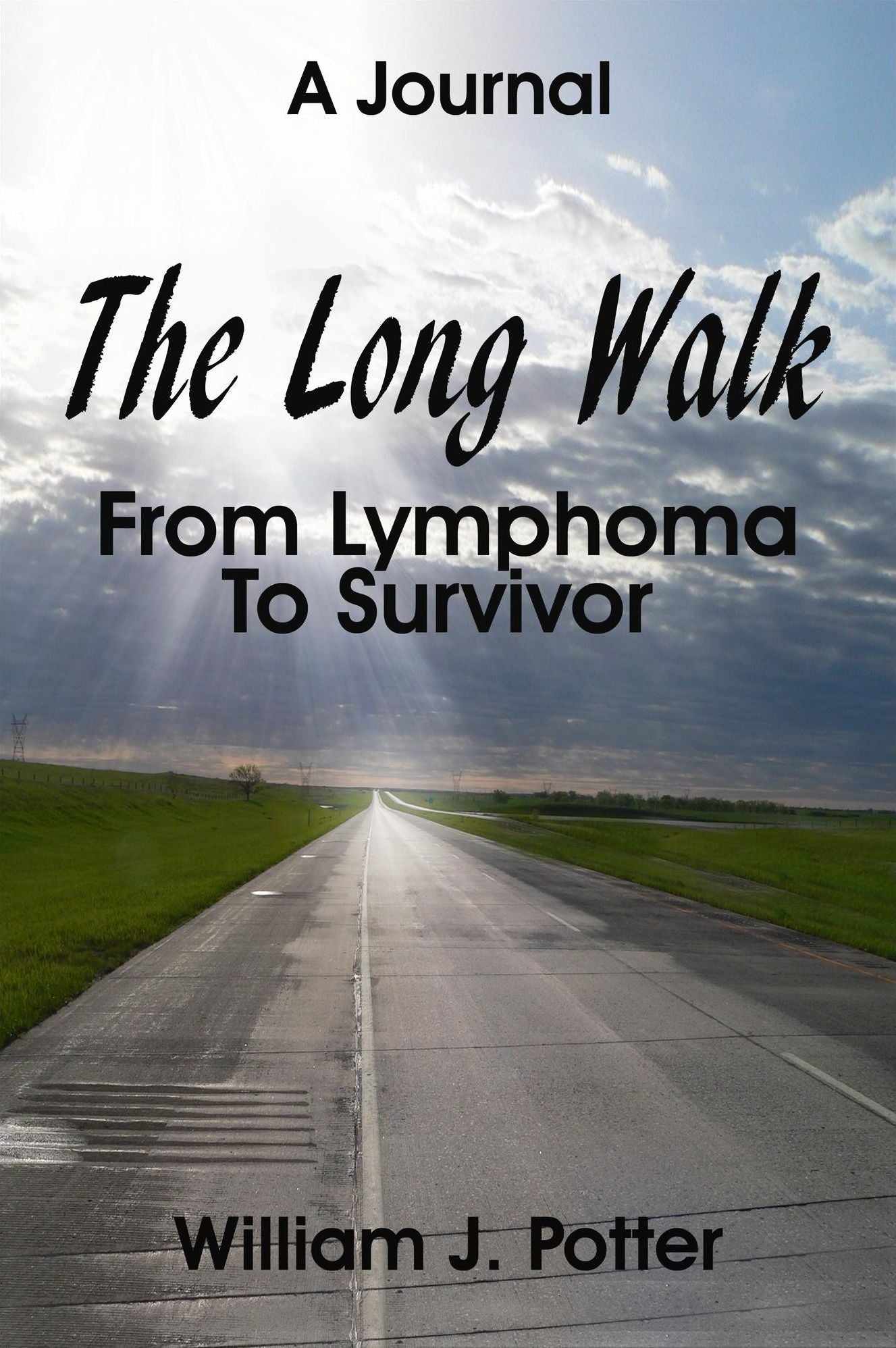 The Long Walk: From Lymphoma To Survivor - A Journal