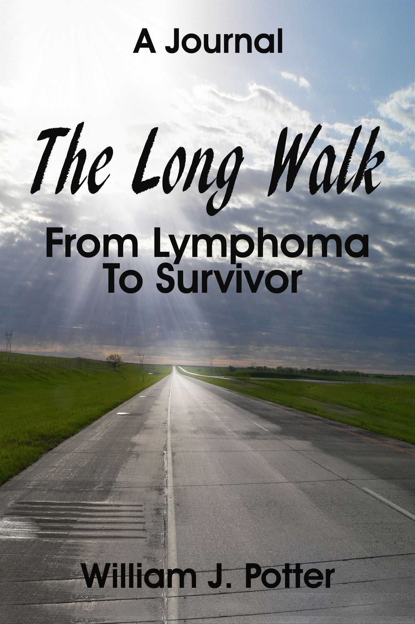 The Long Walk: From Lymphoma To Survivor - A Journal