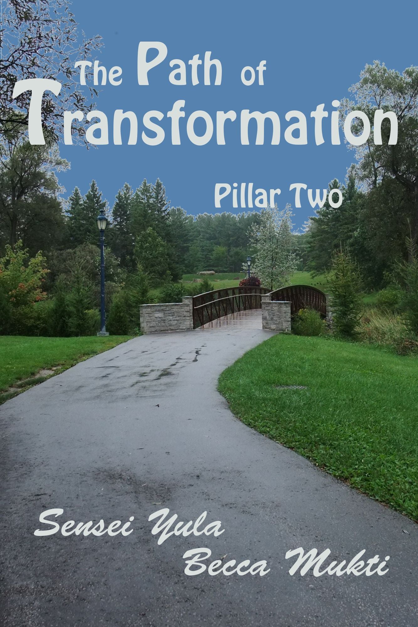 The Path of Transformation: Pillar Two