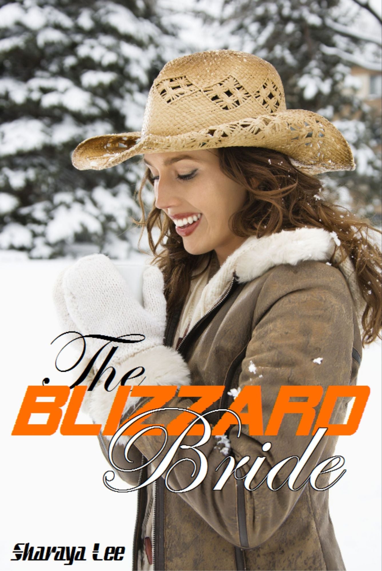 The Blizzard Bride: Sweet Western Romance
