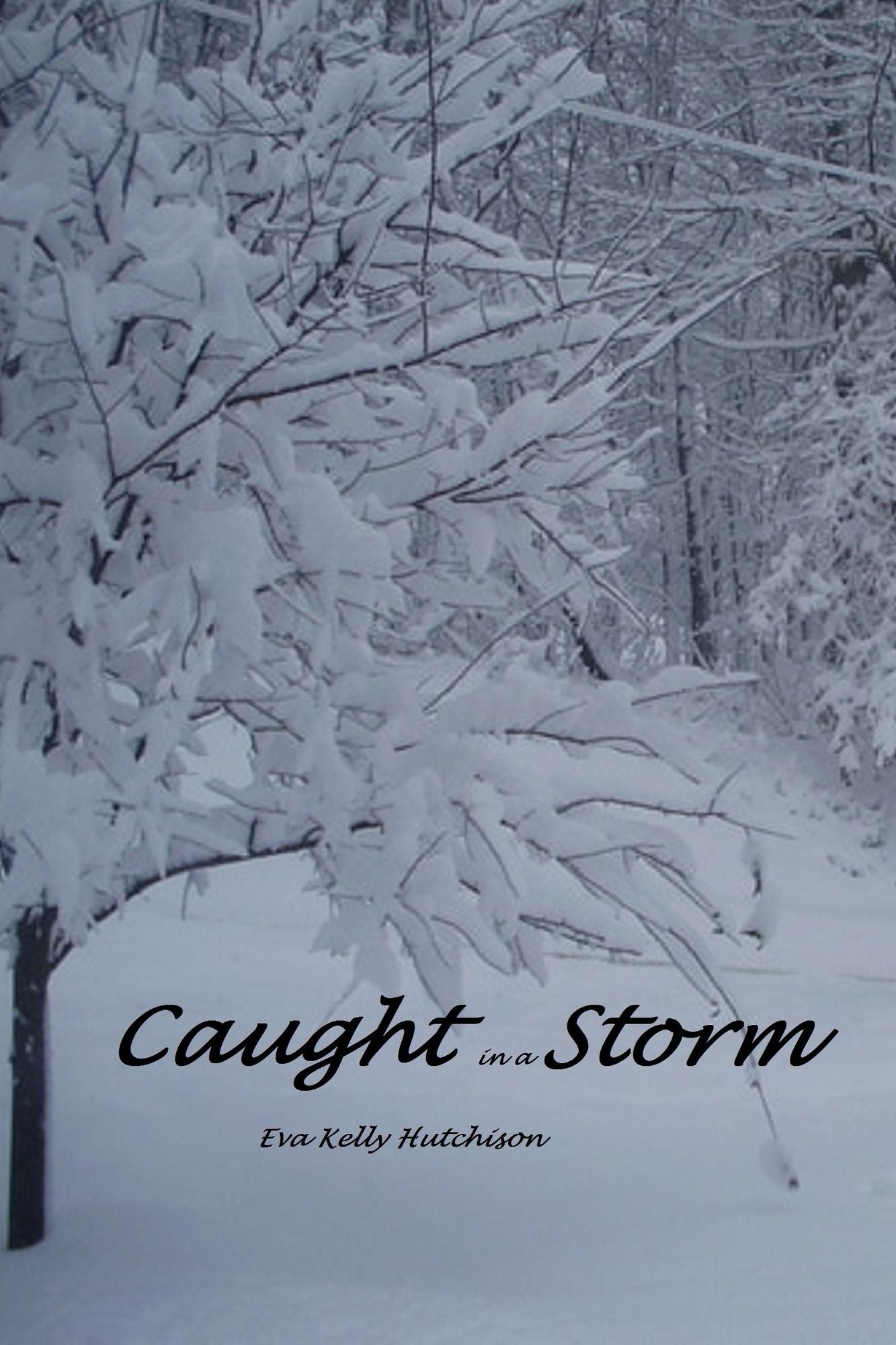 Caught in a Storm