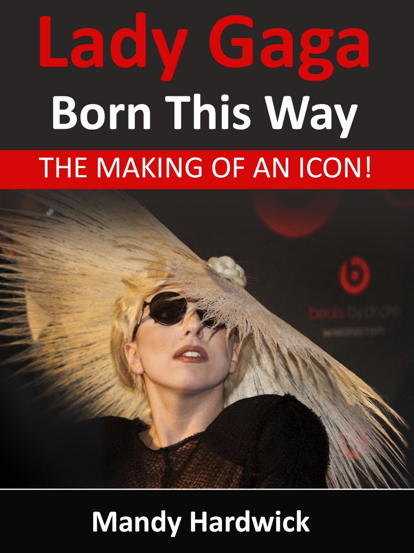 Lady Gaga: Born This Way! The Making of an Icon, A Lady Gaga