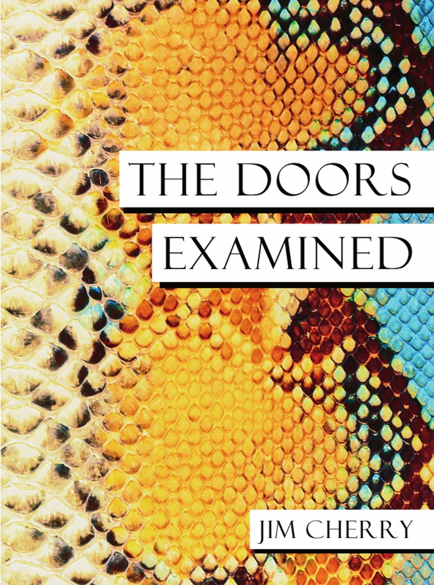 The Doors Examined