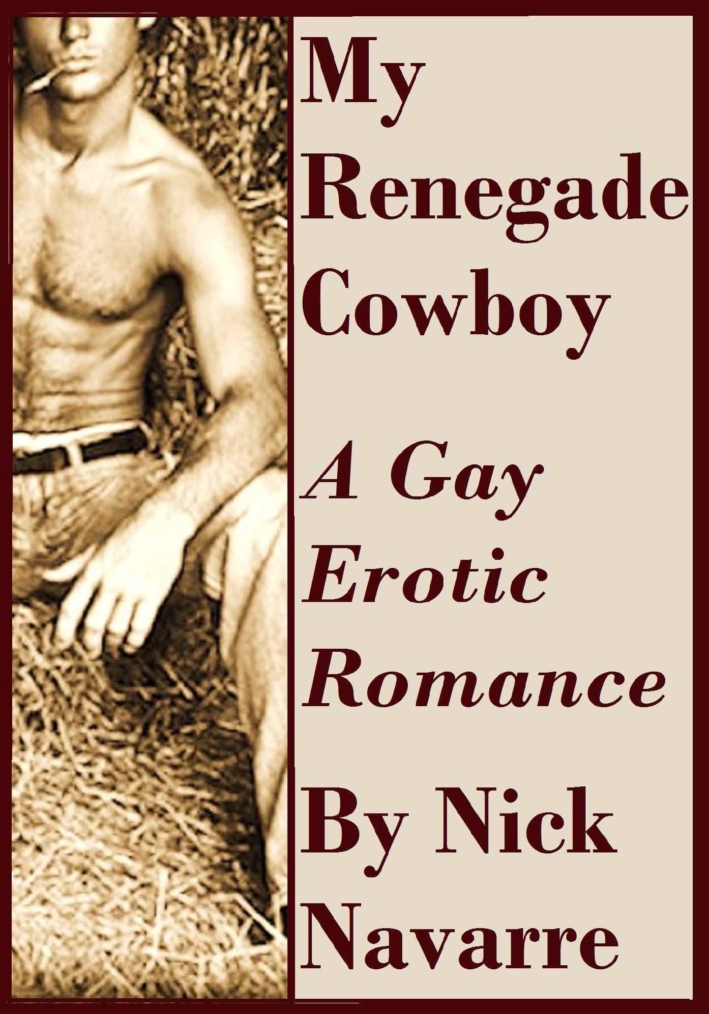 My Renegade Cowboy: A Gay Erotic Romance