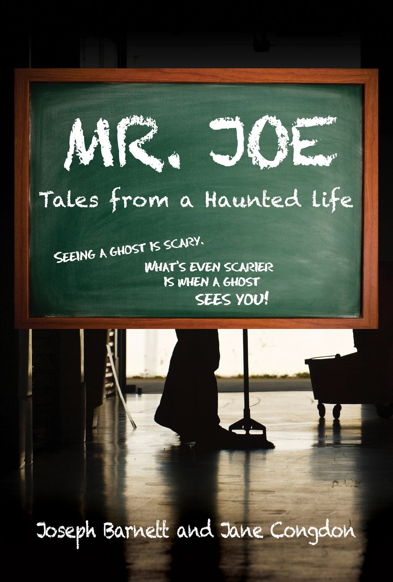 Mr. Joe: Tales from a Haunted Life