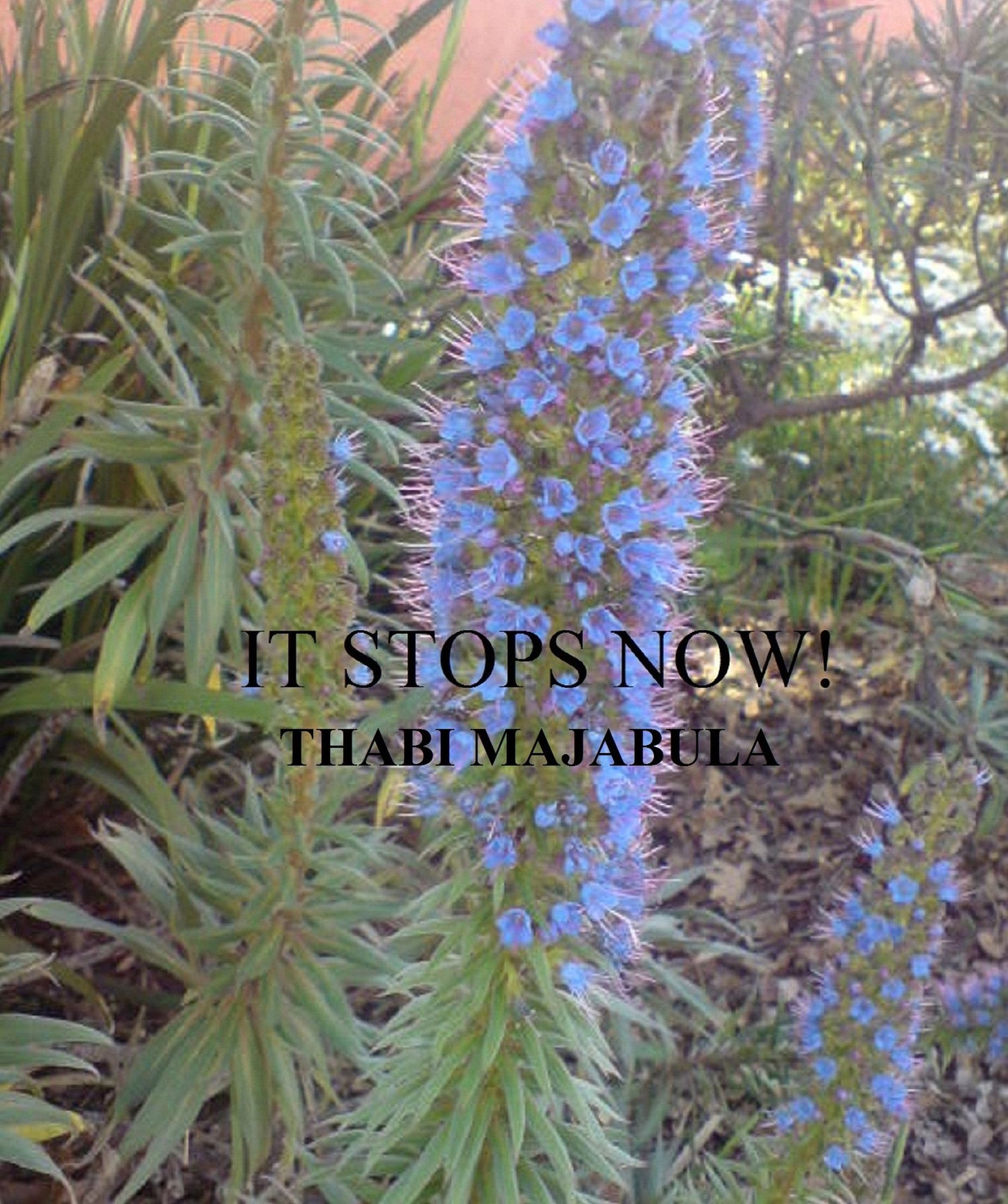It Stops Now!