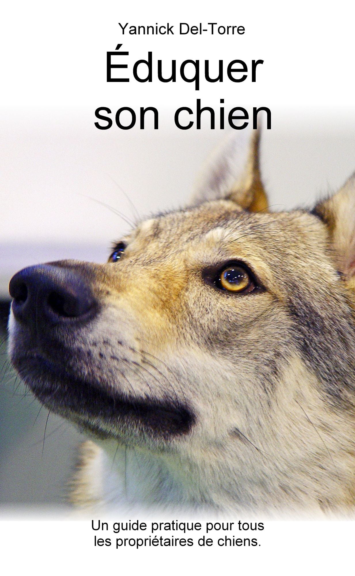 Éduquer son chien