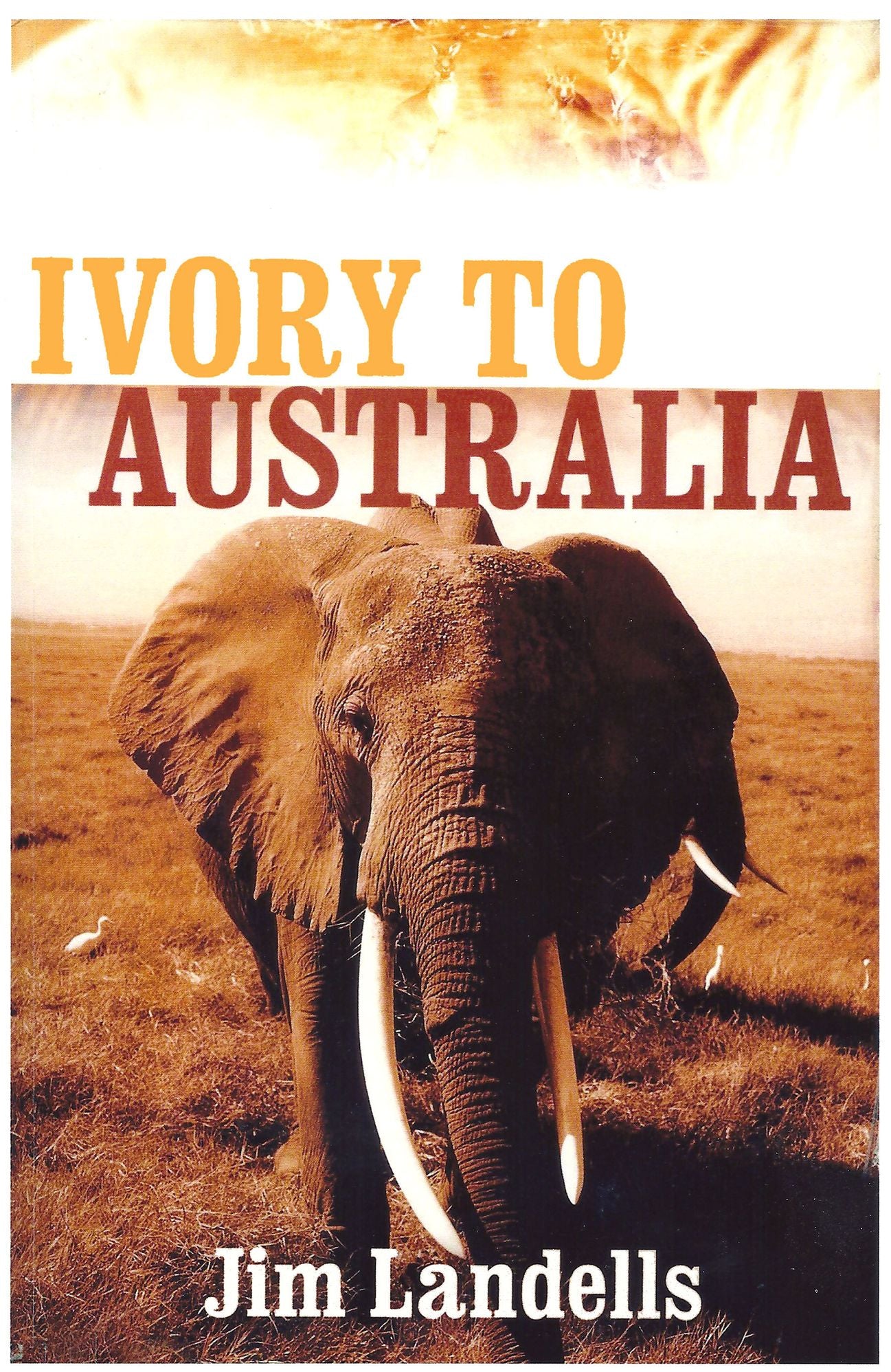 Ivory to Australia