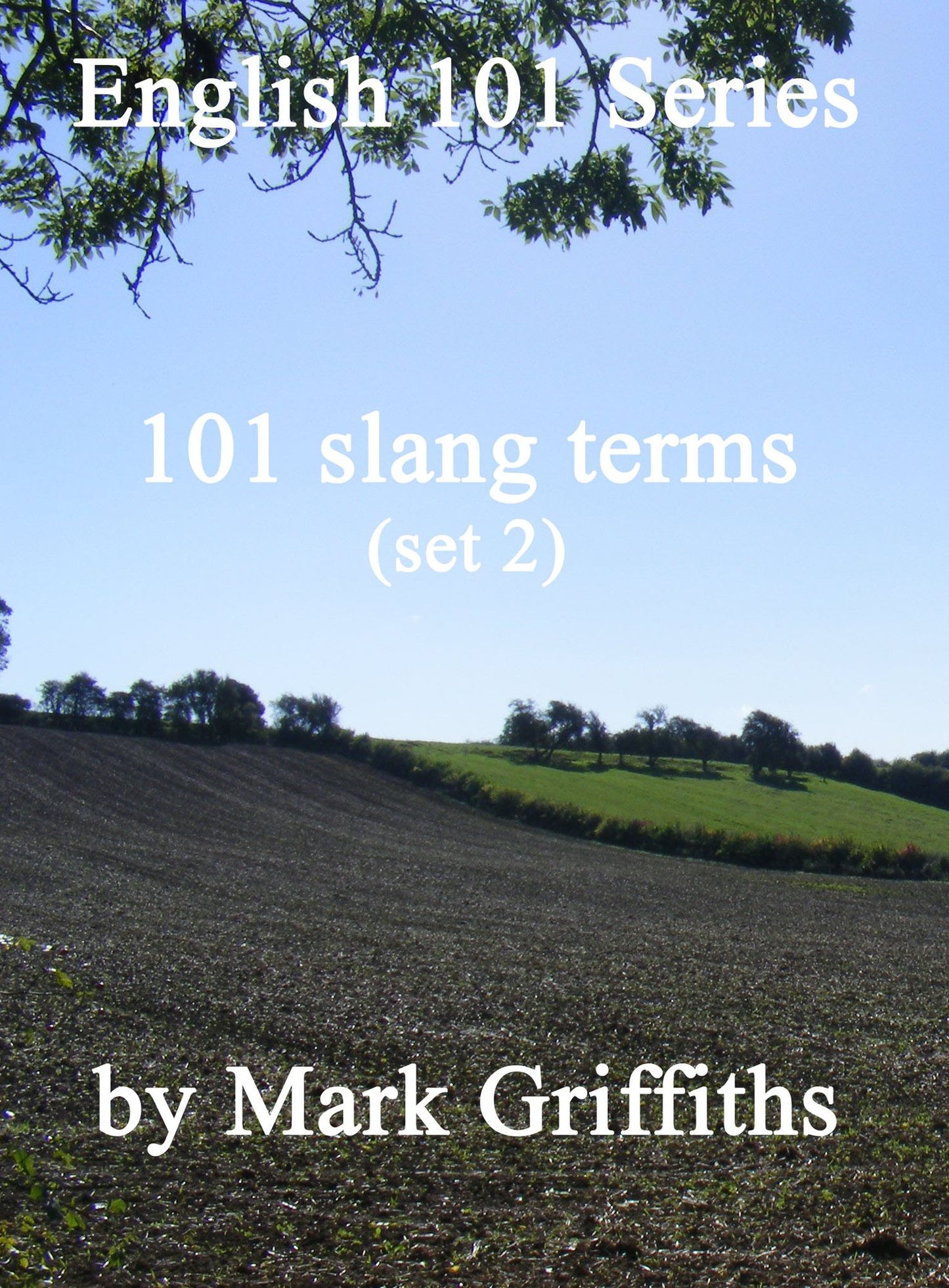 English 101 Series: 101 slang terms (set 2)