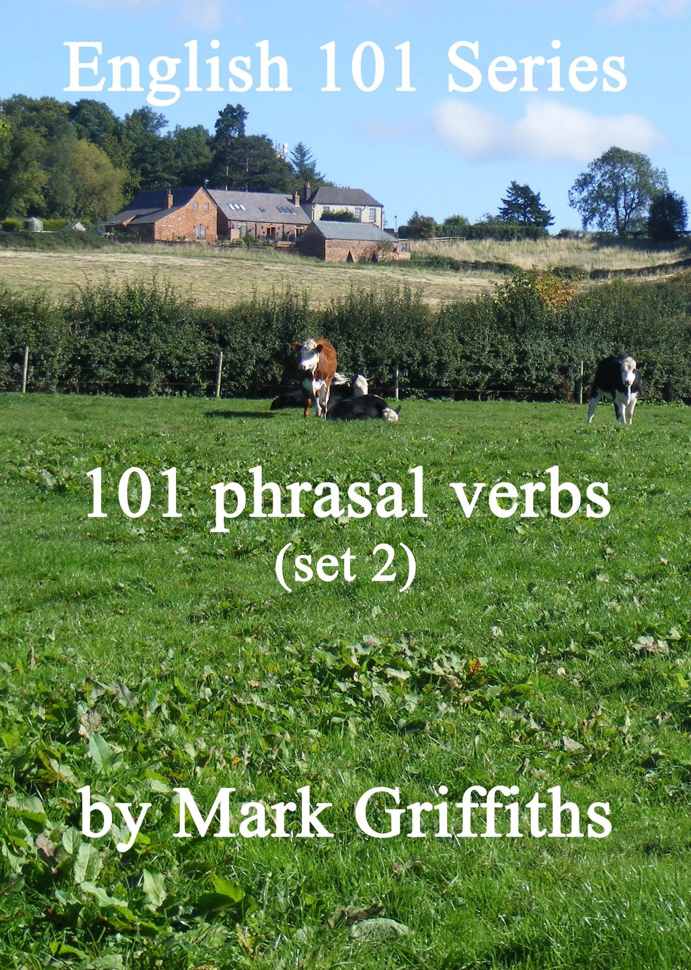 English 101 Series: 101 phrasal verbs (set 2)