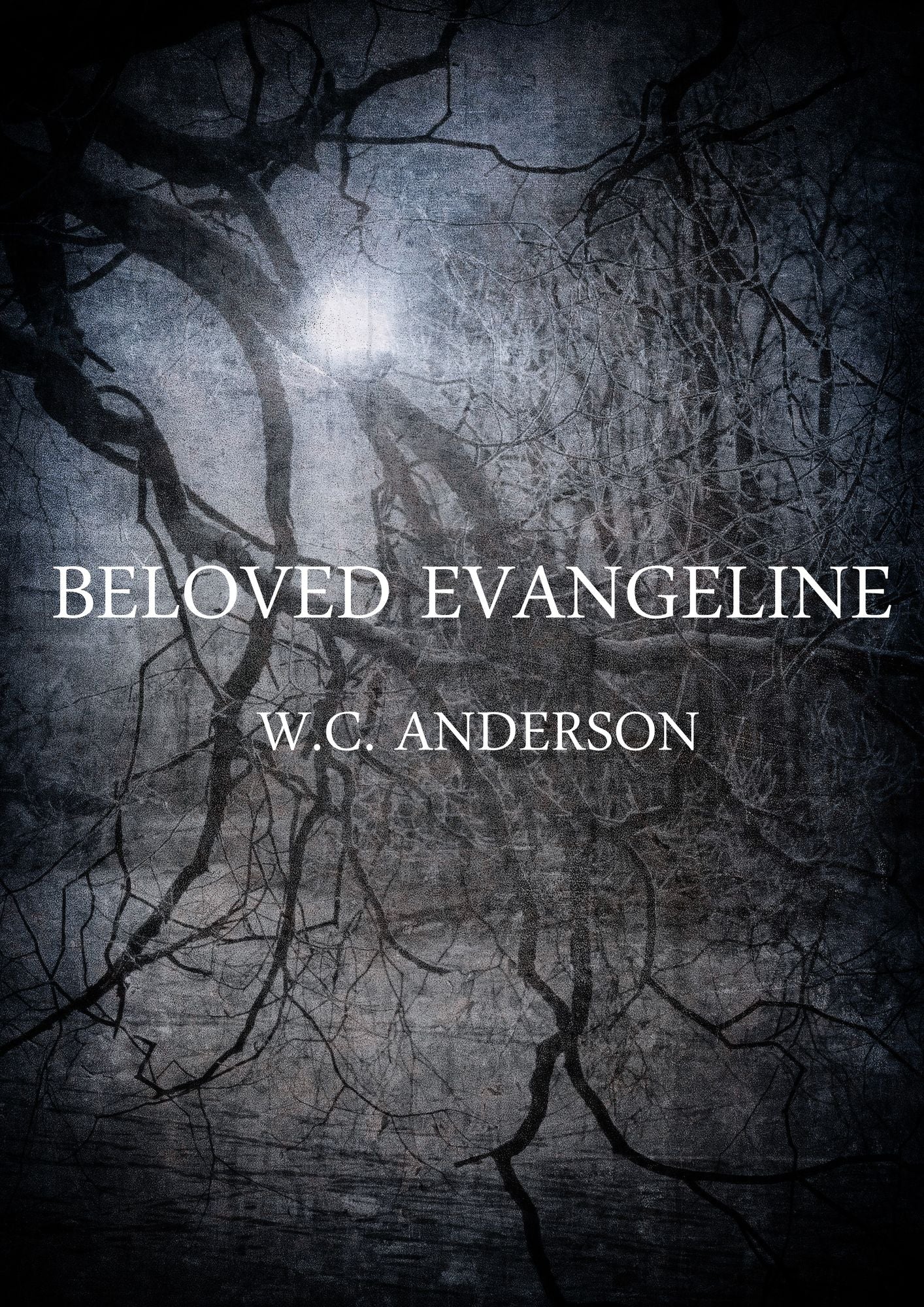 Beloved Evangeline: The Broken Heroine Trilogy- New Adult Dark Urban Fantasy/Comedy - Book 1