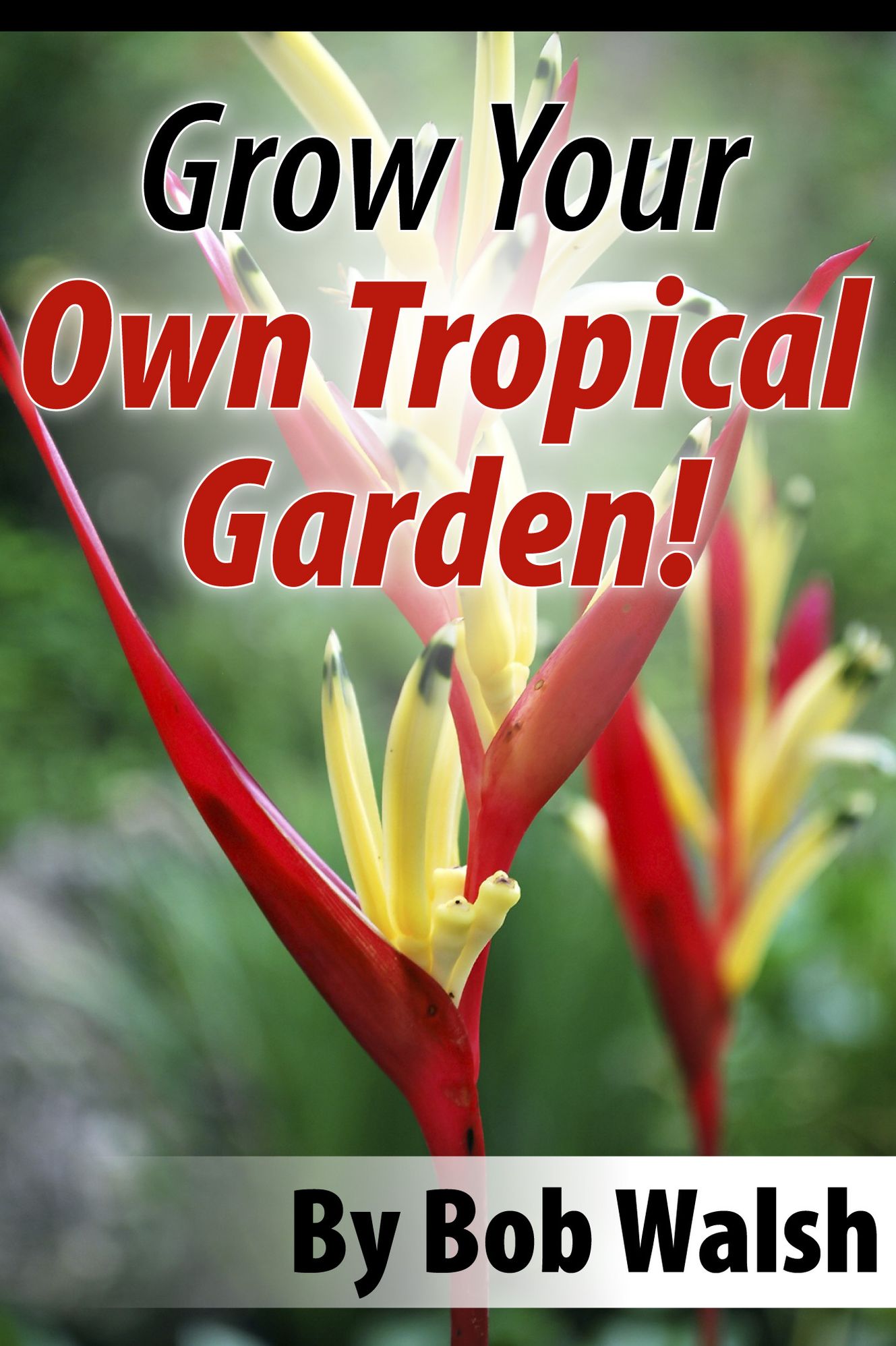 Grow Your Own Tropical Garden