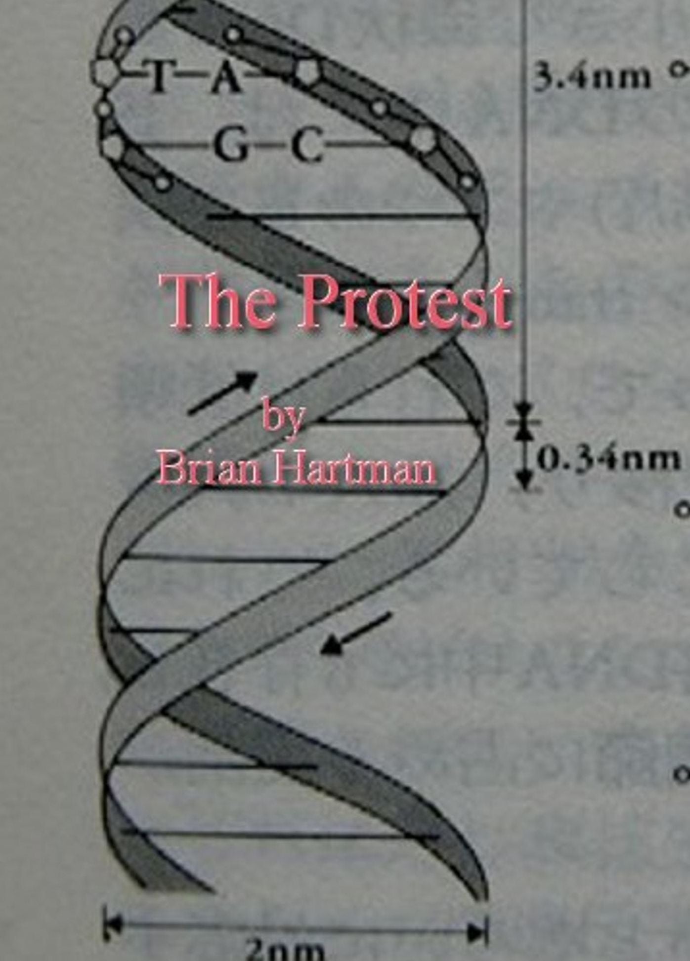 The Protest (A Short Story)