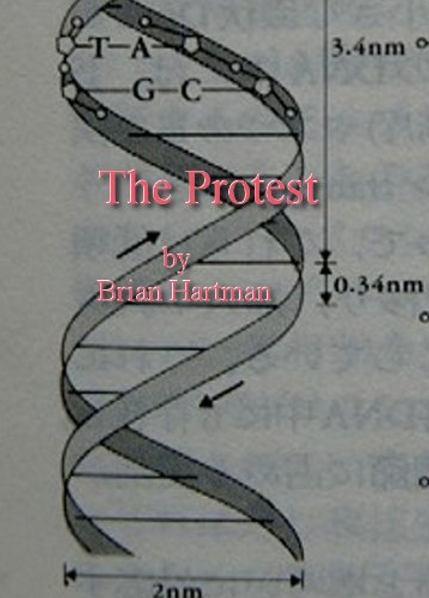 The Protest (A Short Story)