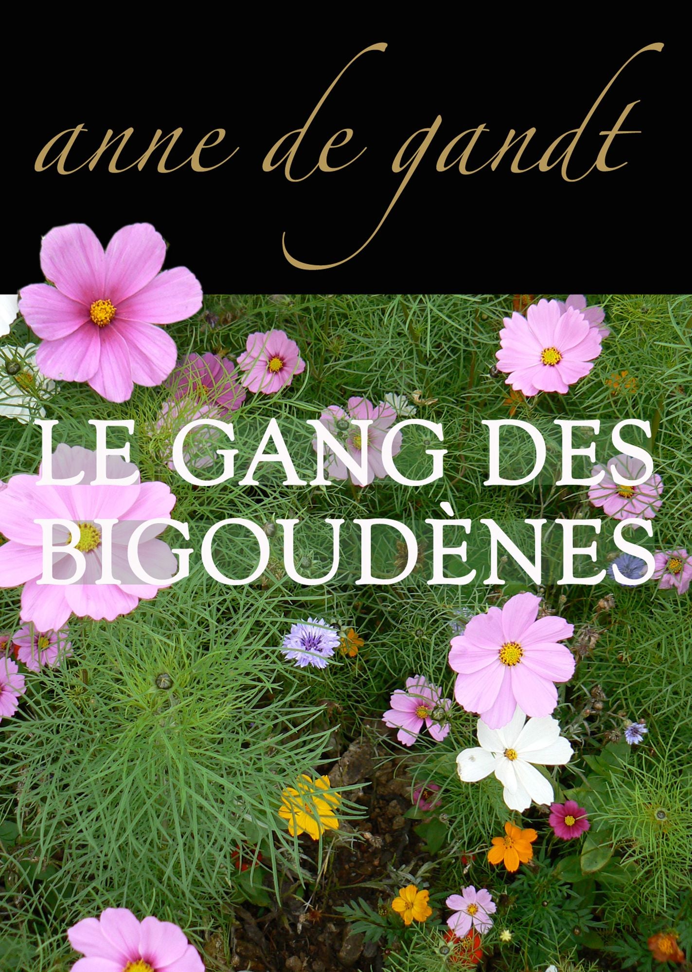 Le Gang des bigoudènes (Saison 1)