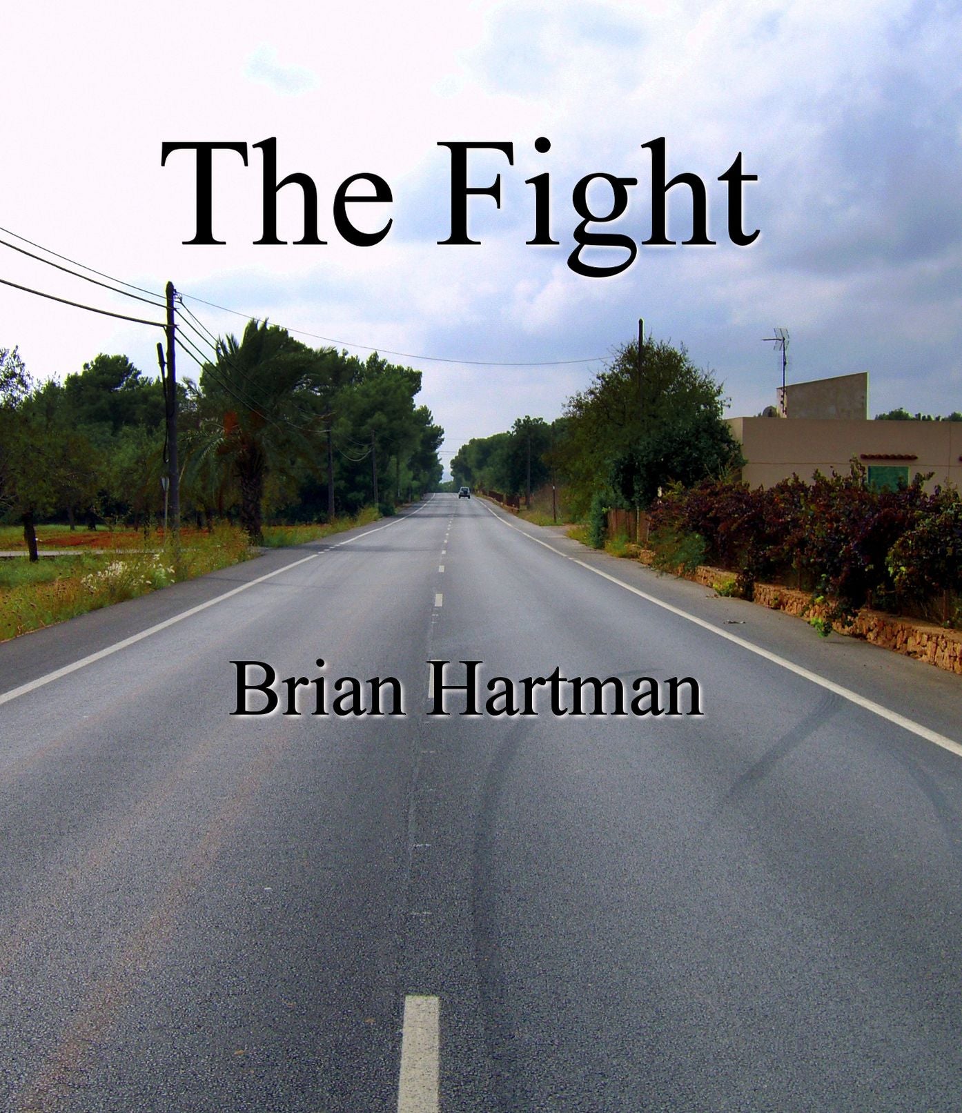 The Fight (A Short Story)