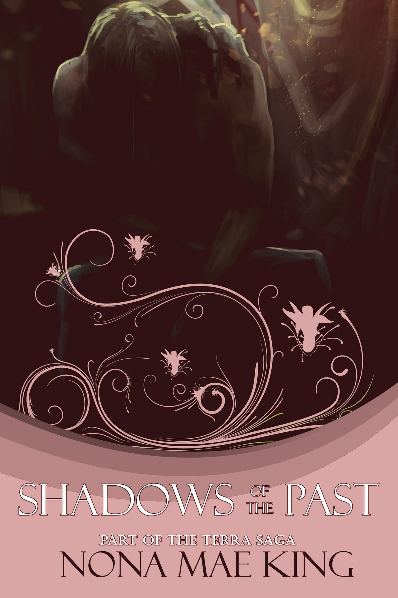 Adventures of Youth & Shadows of the Past