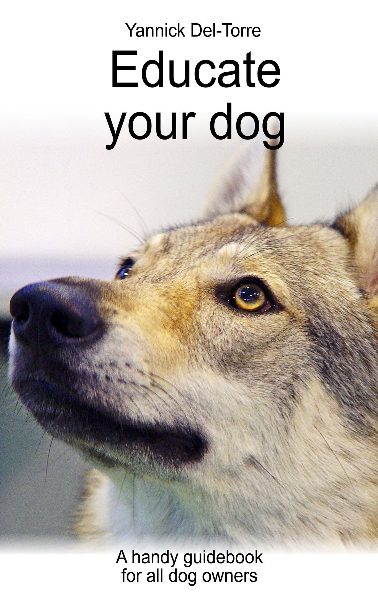 Educate your dog