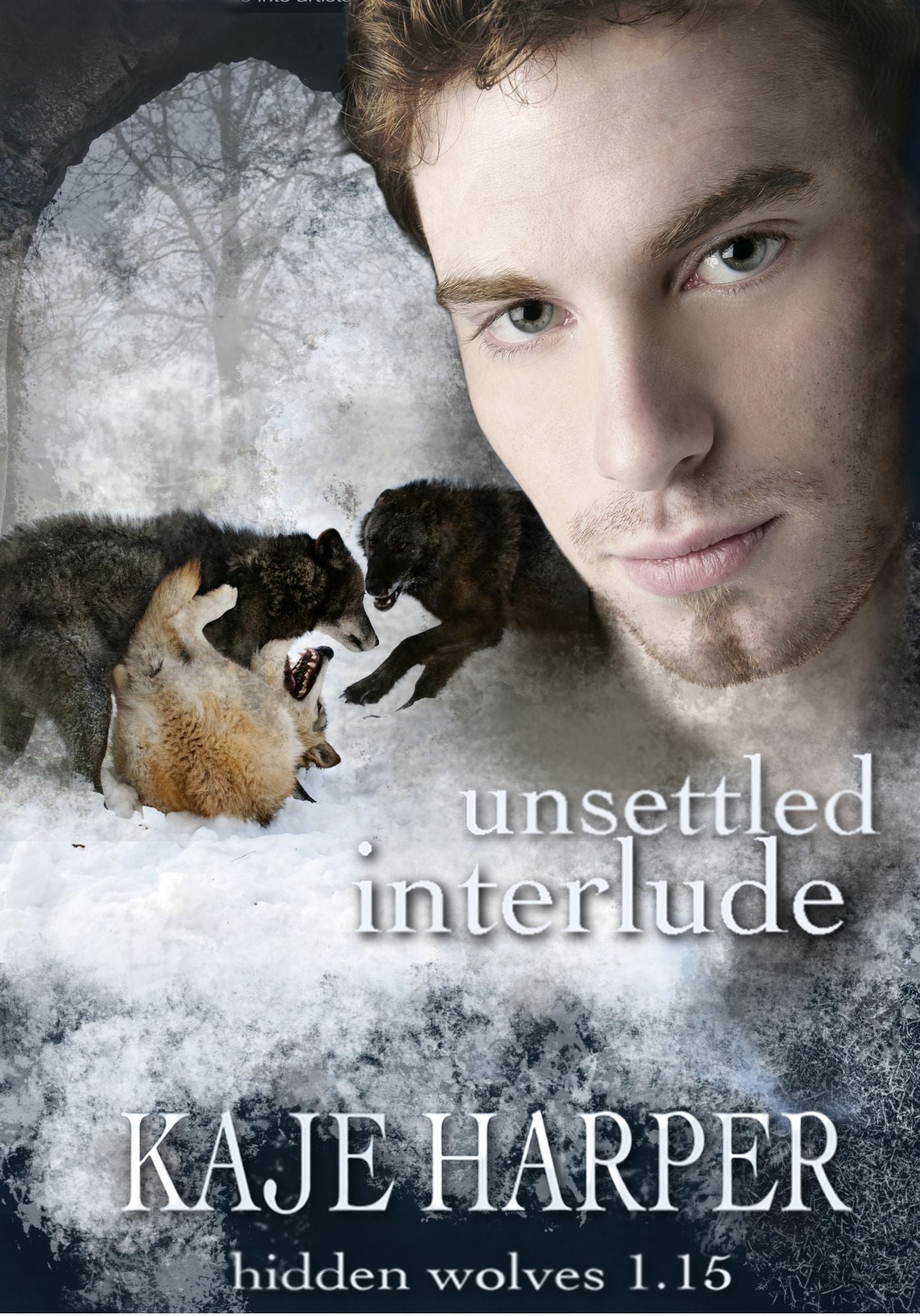 Unsettled Interlude (Hidden Wolves Series)