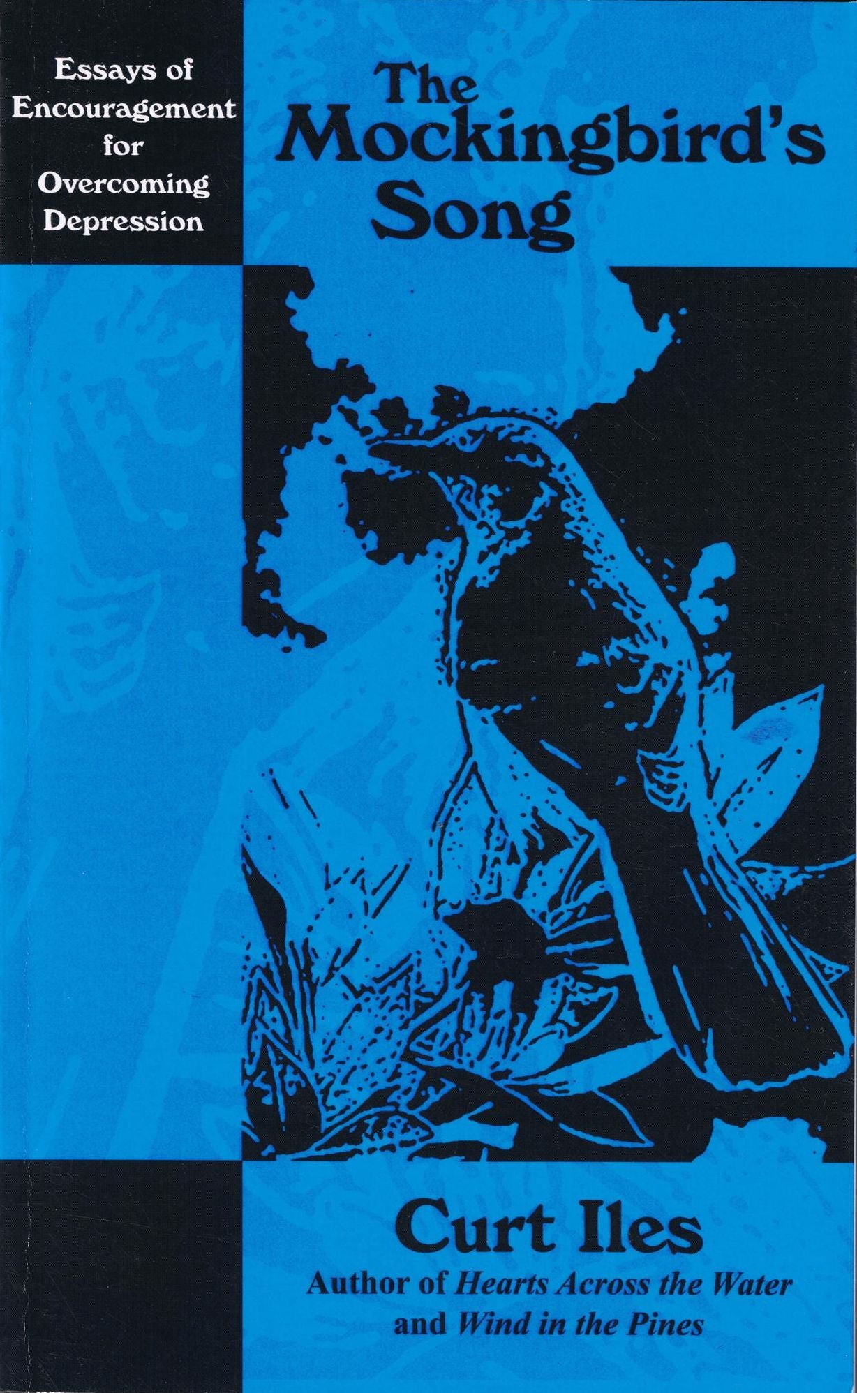 The Mockingbird's Song