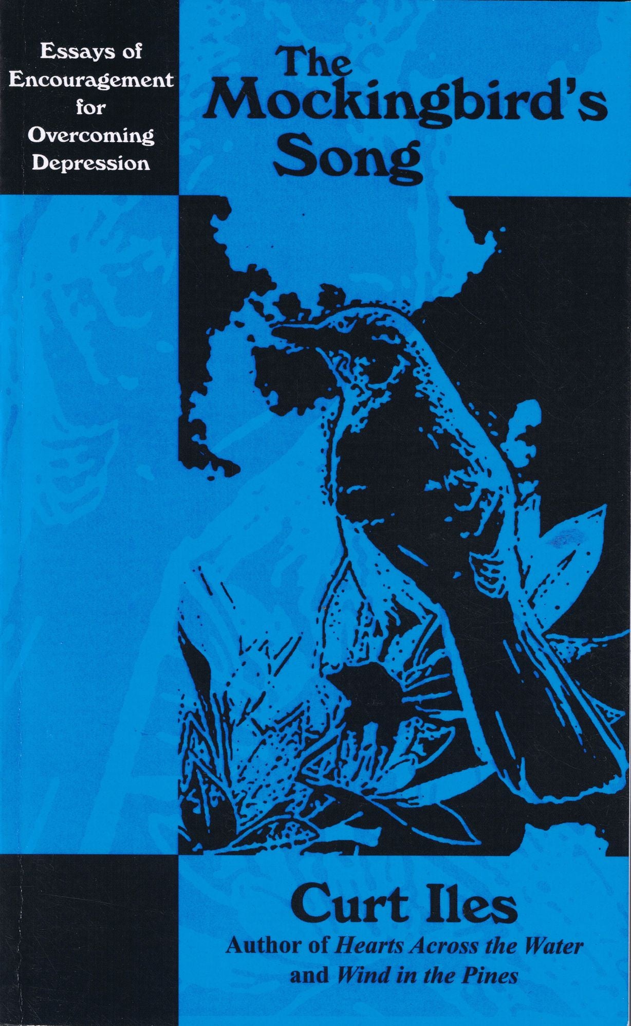 The Mockingbird's Song