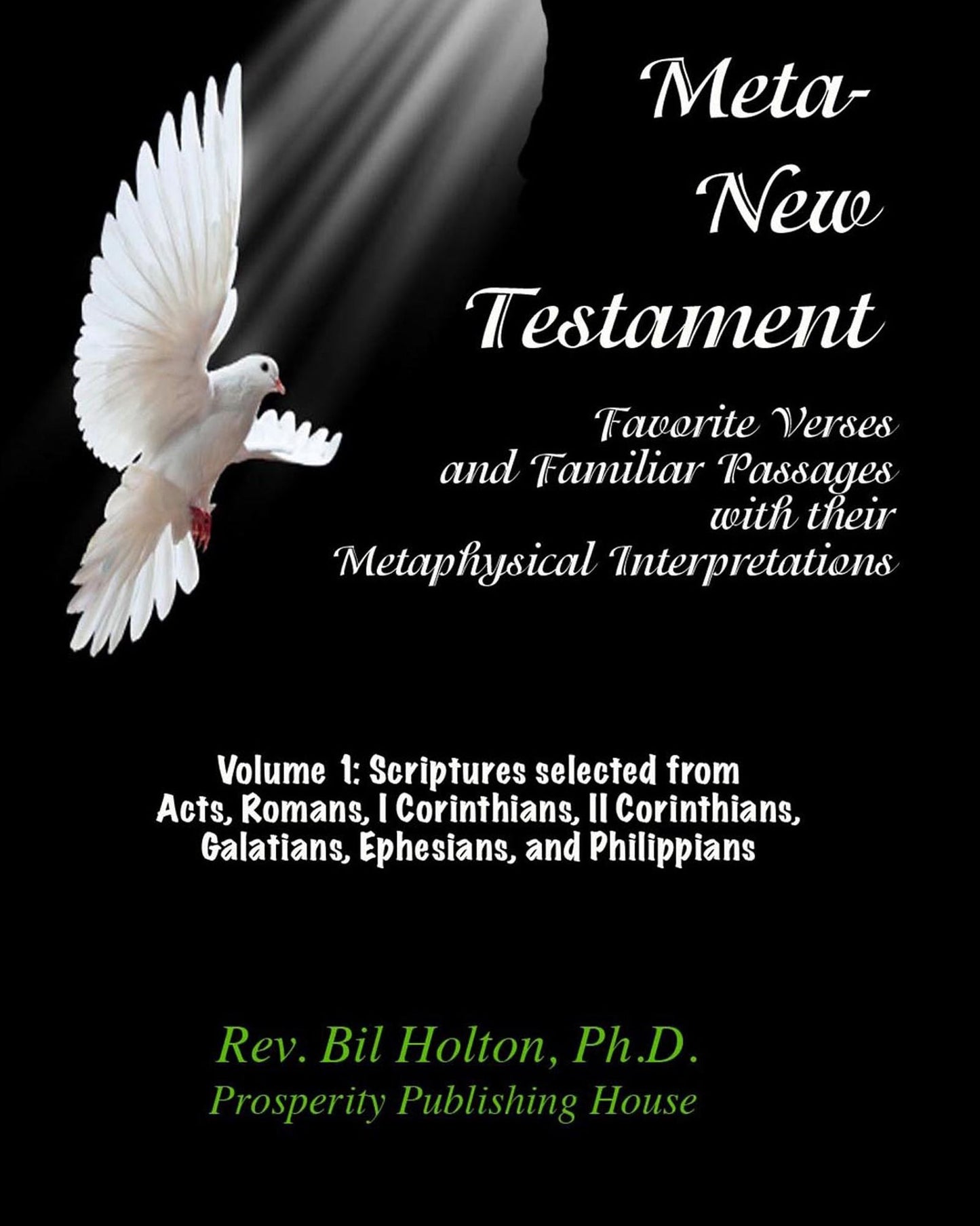 Meta-New Testament: Favorite Verses & Familiar Passages with their Metaphysical Interpretations - Volume 1