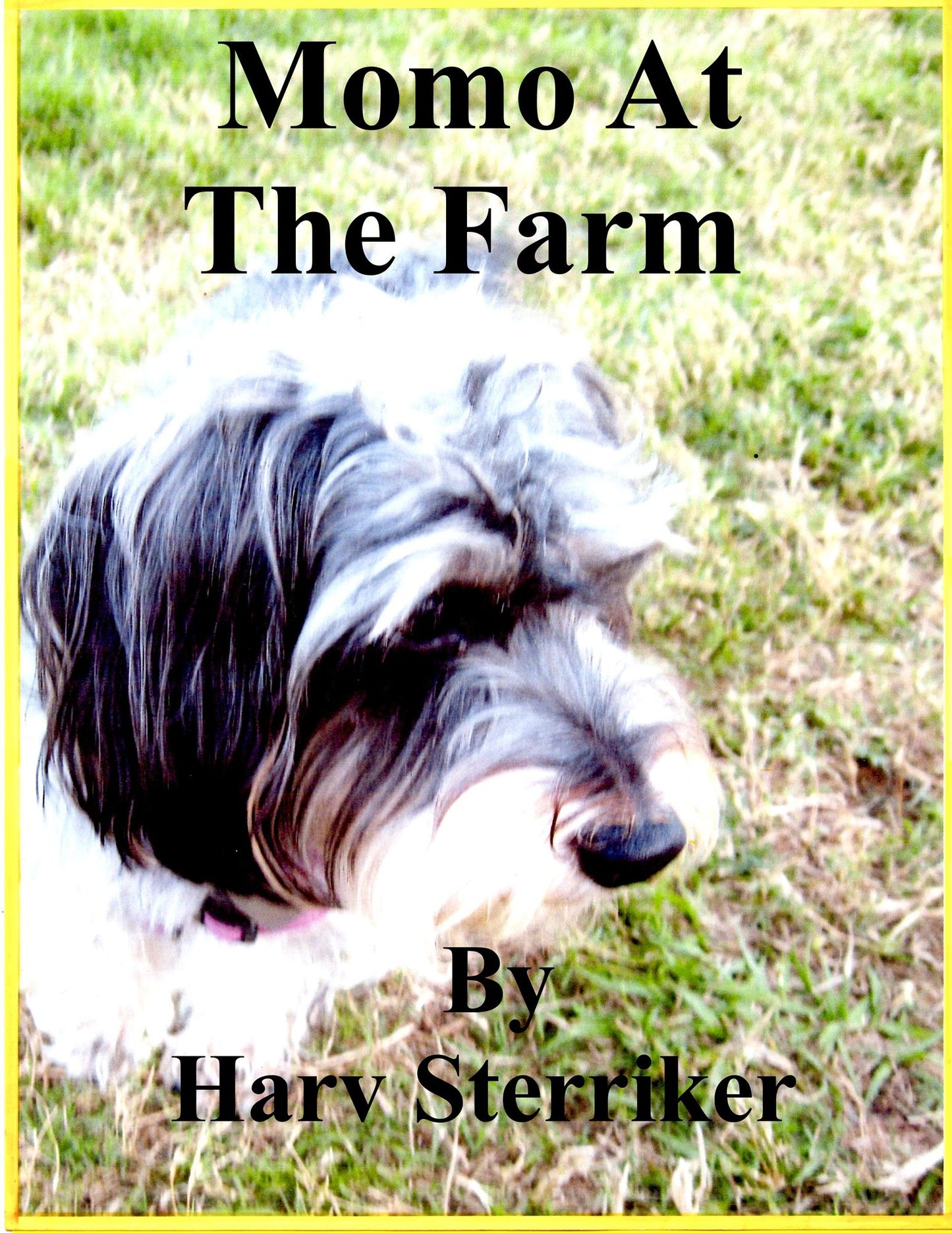 Momo At The Farm