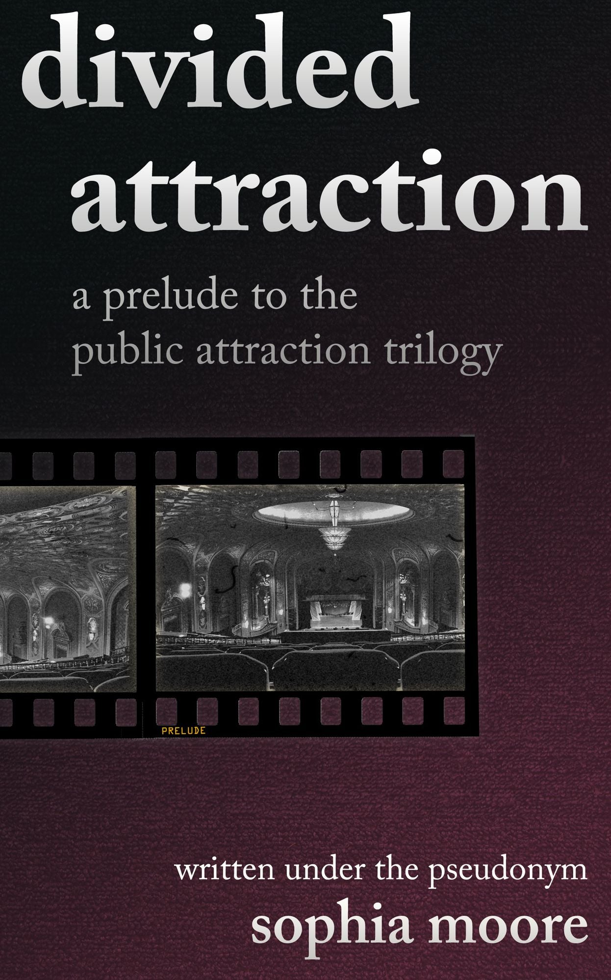 Divided Attraction: A Prelude To The Public Attraction Trilogy