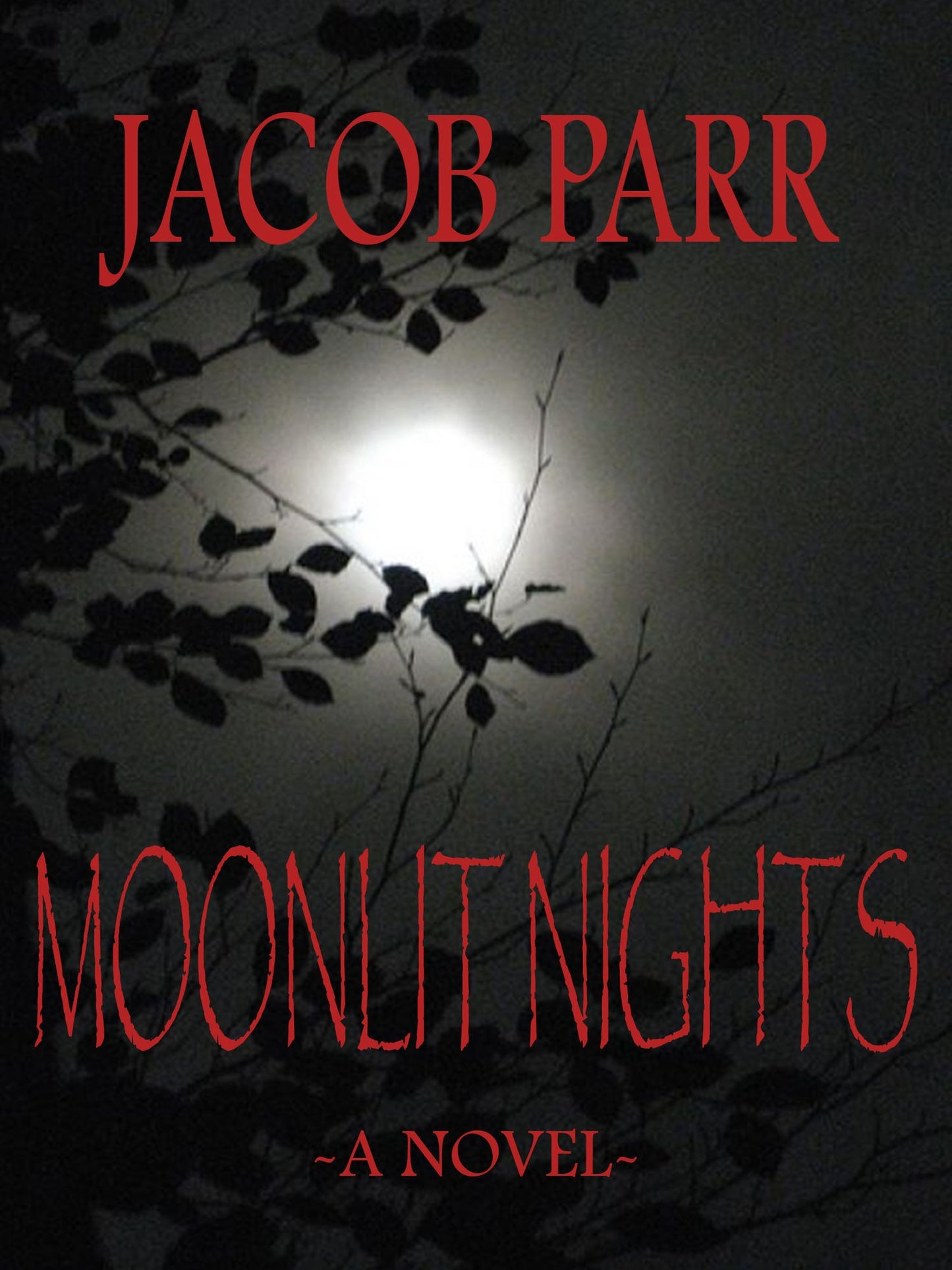 Moonlit Nights