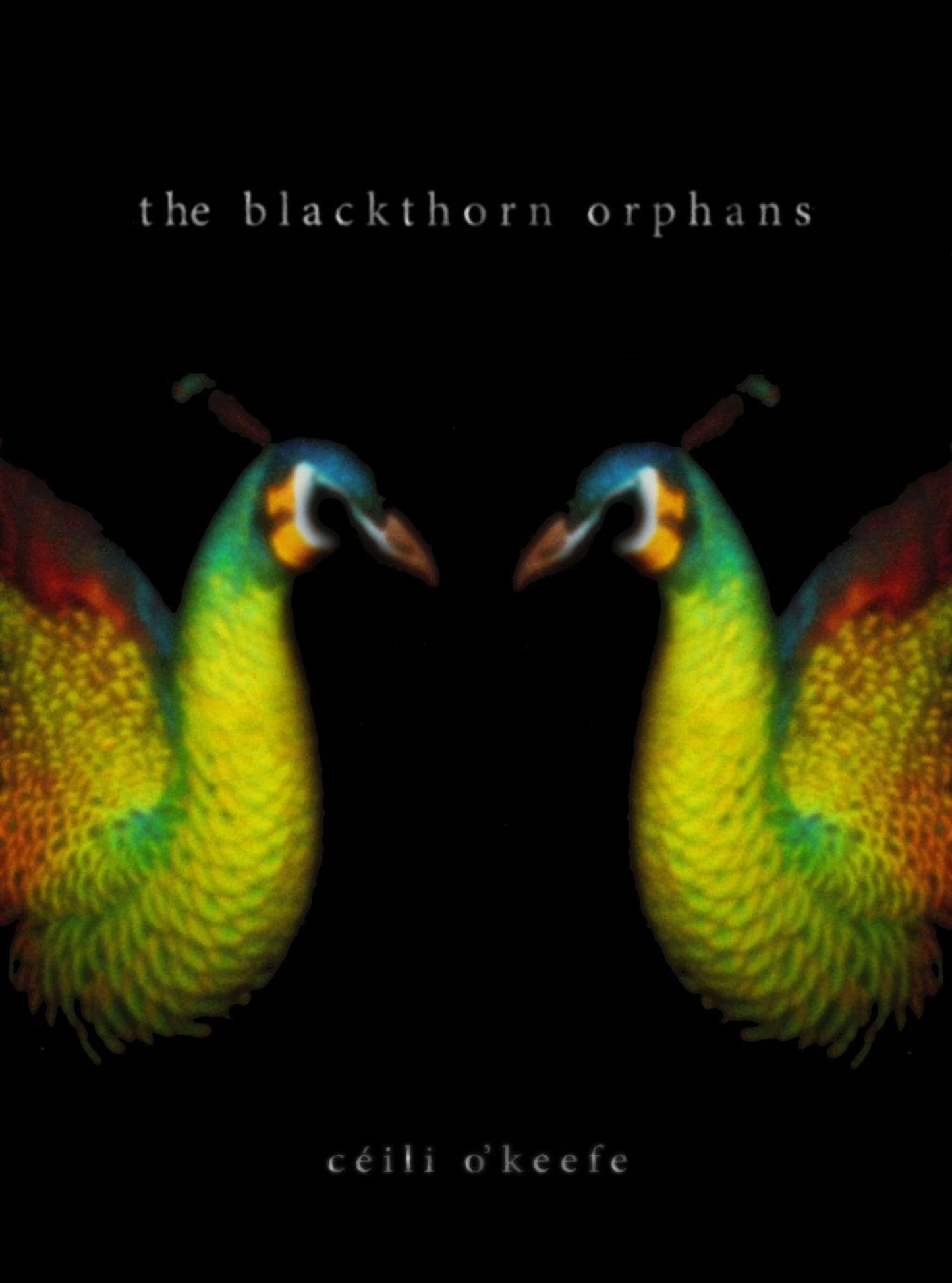 The Blackthorn Orphans