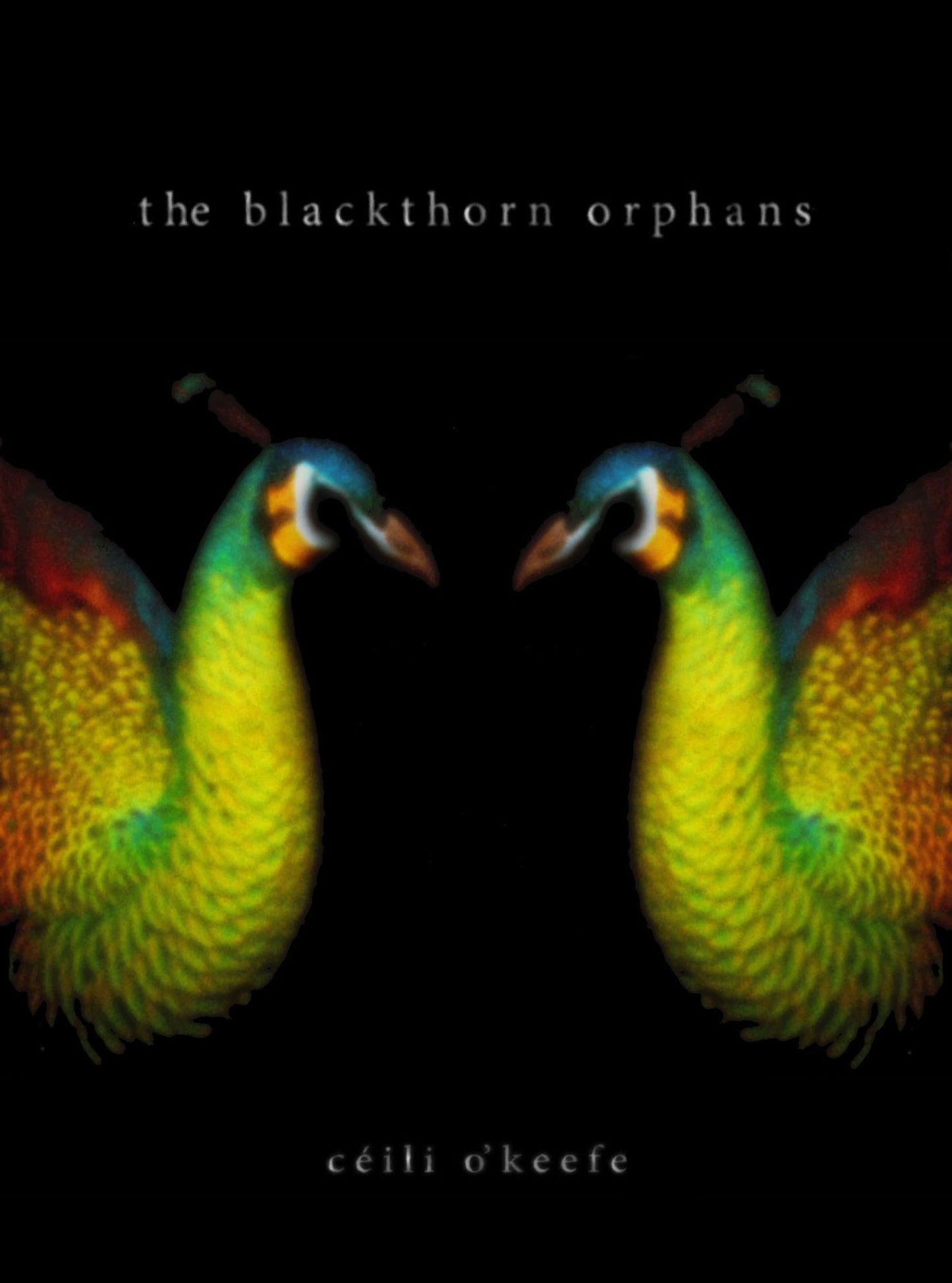 The Blackthorn Orphans
