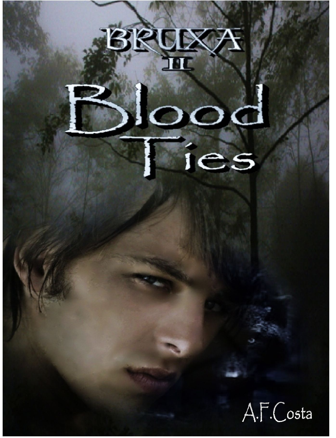 Blood Ties (Bruxa 2)