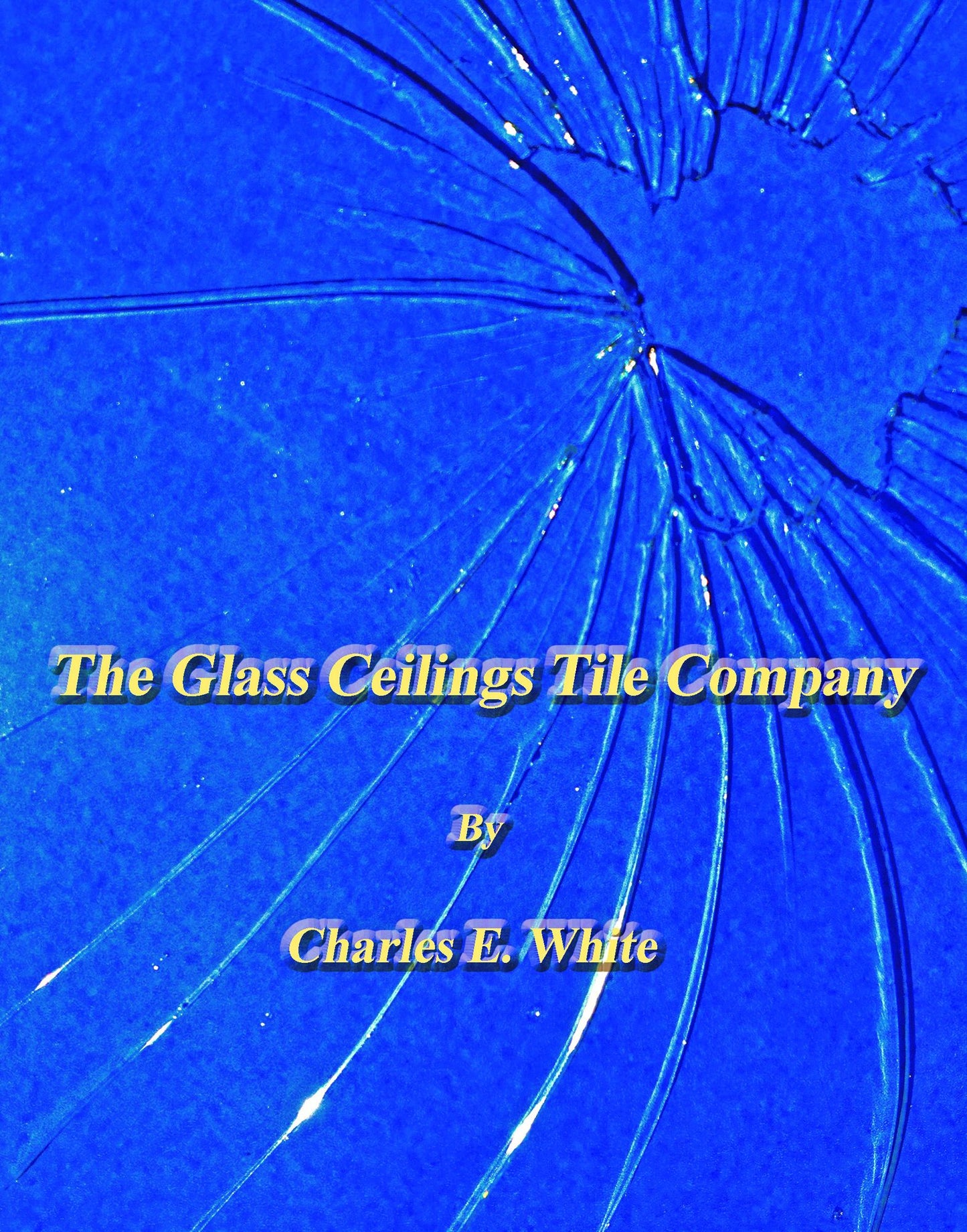 The Glass Ceilings Tile Company