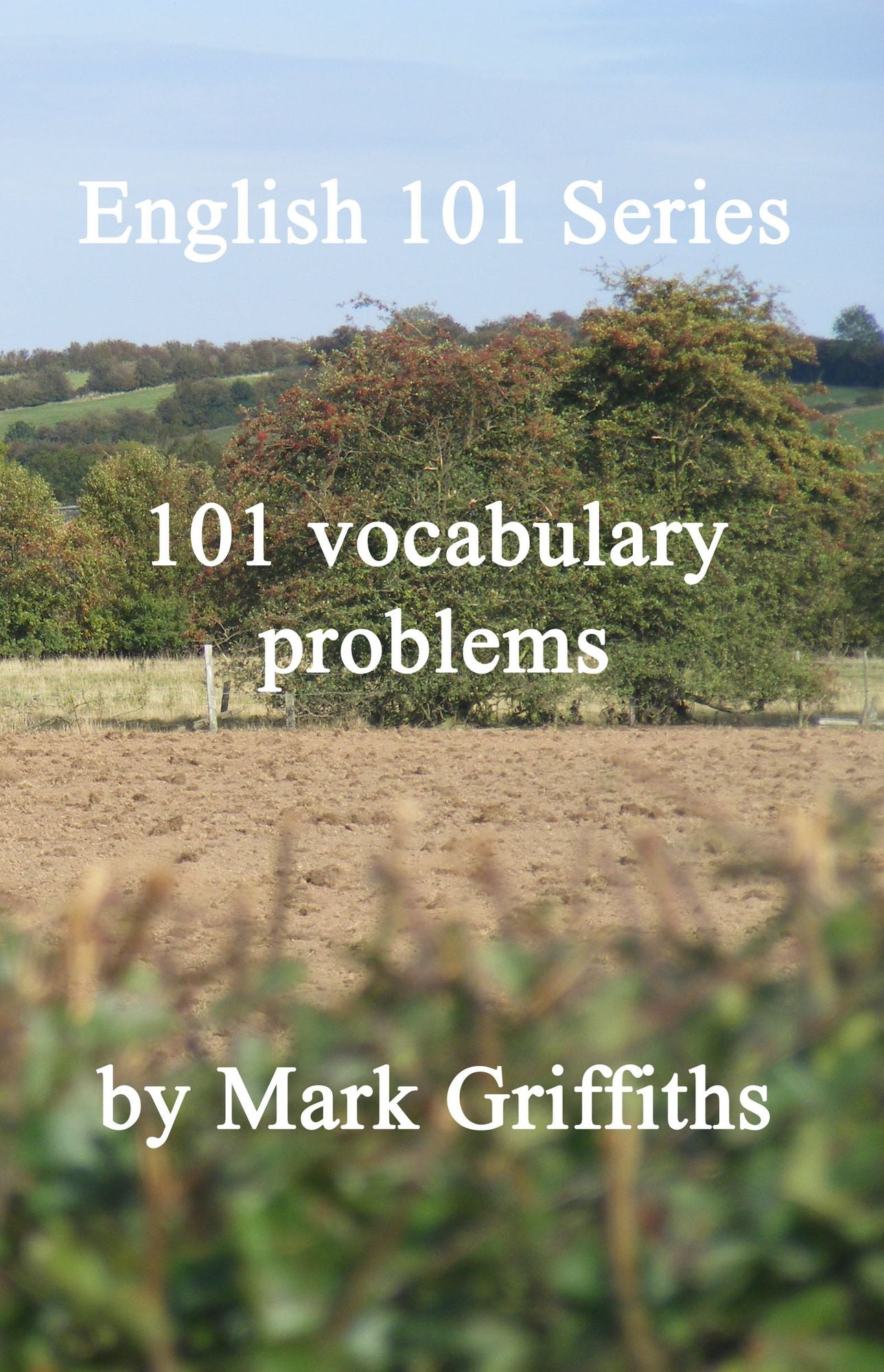 English 101 Series: 101 vocabulary problems