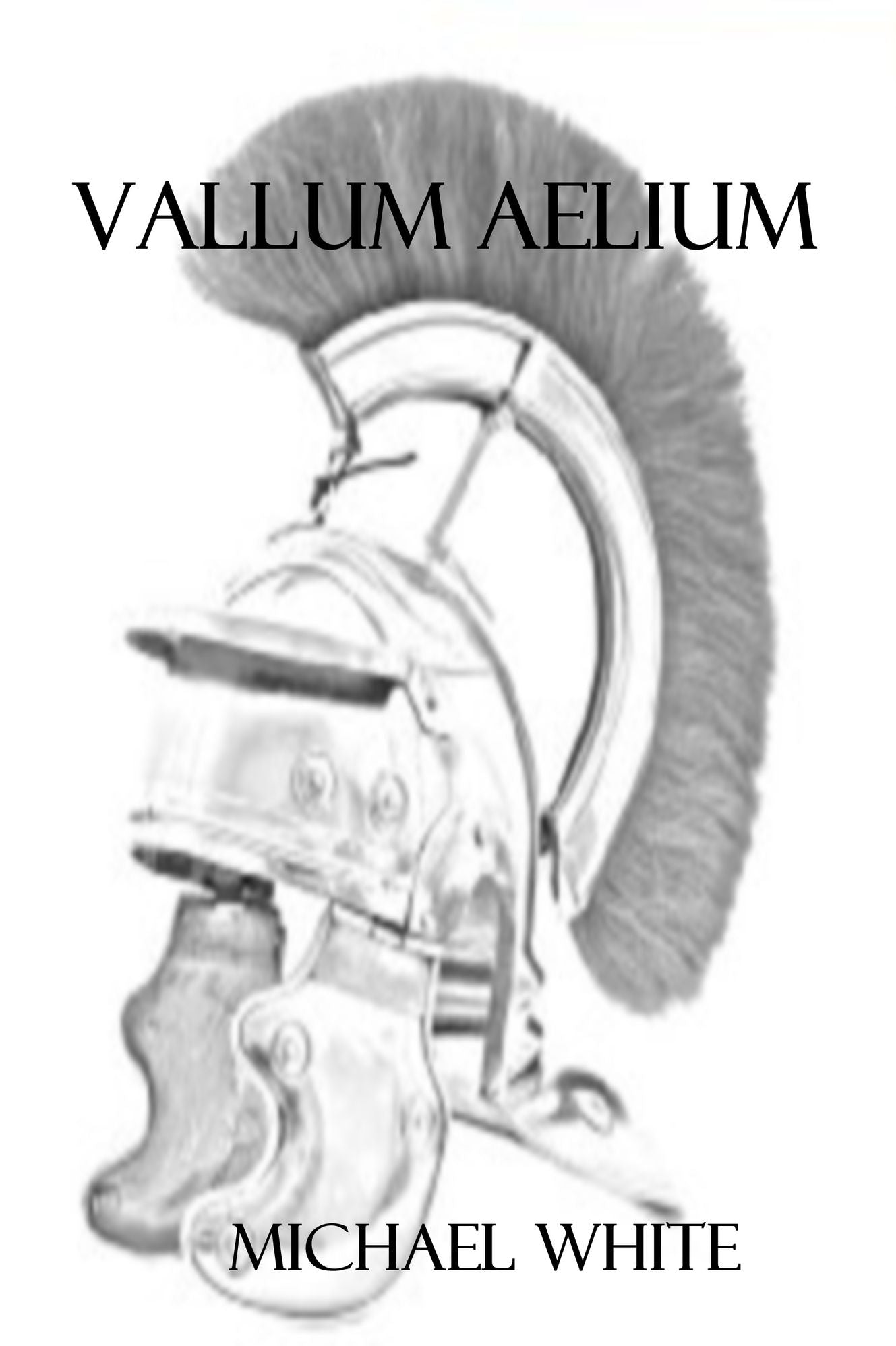 Vallum Aelium