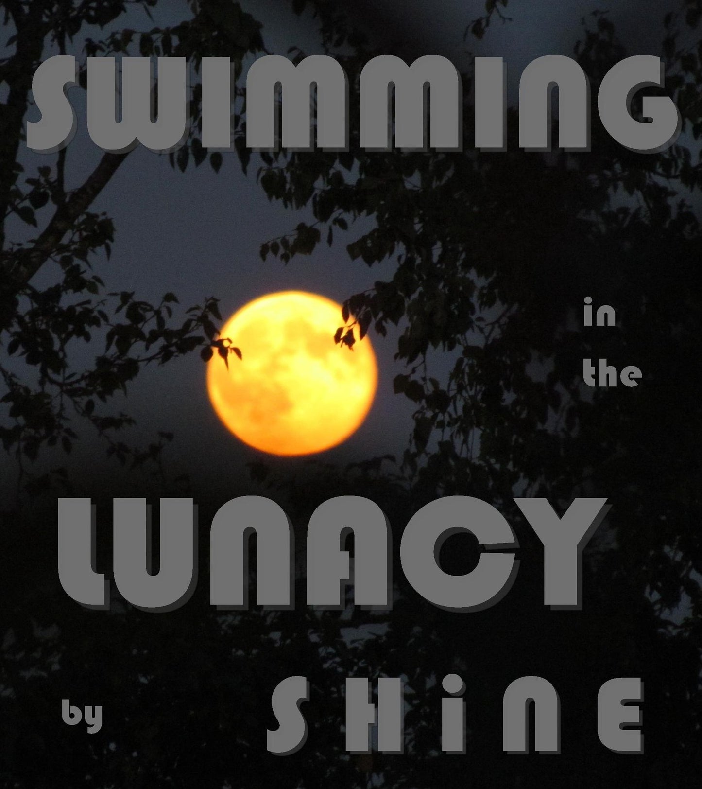 Swimming in the Lunacy