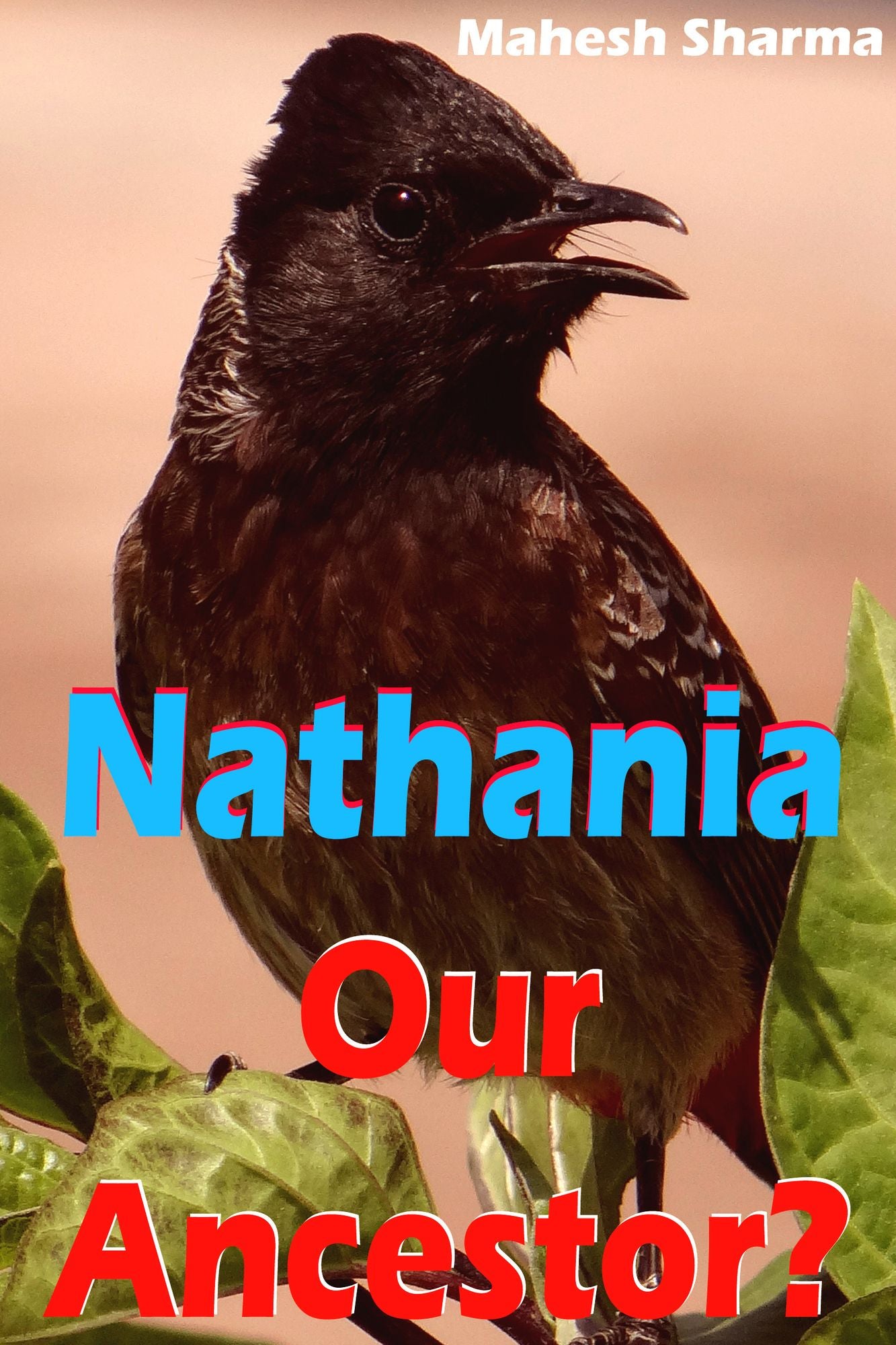 Nathania: Our Ancestor?