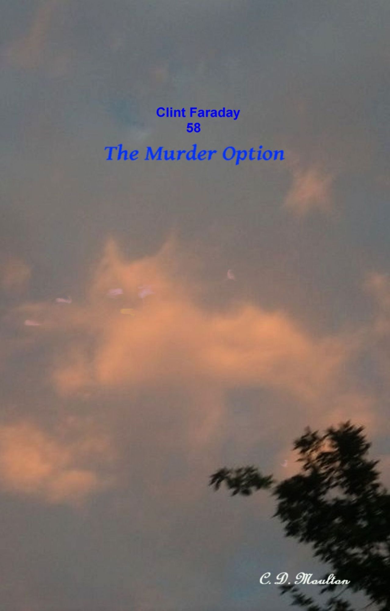 Clint faraday 58: The Murder Option