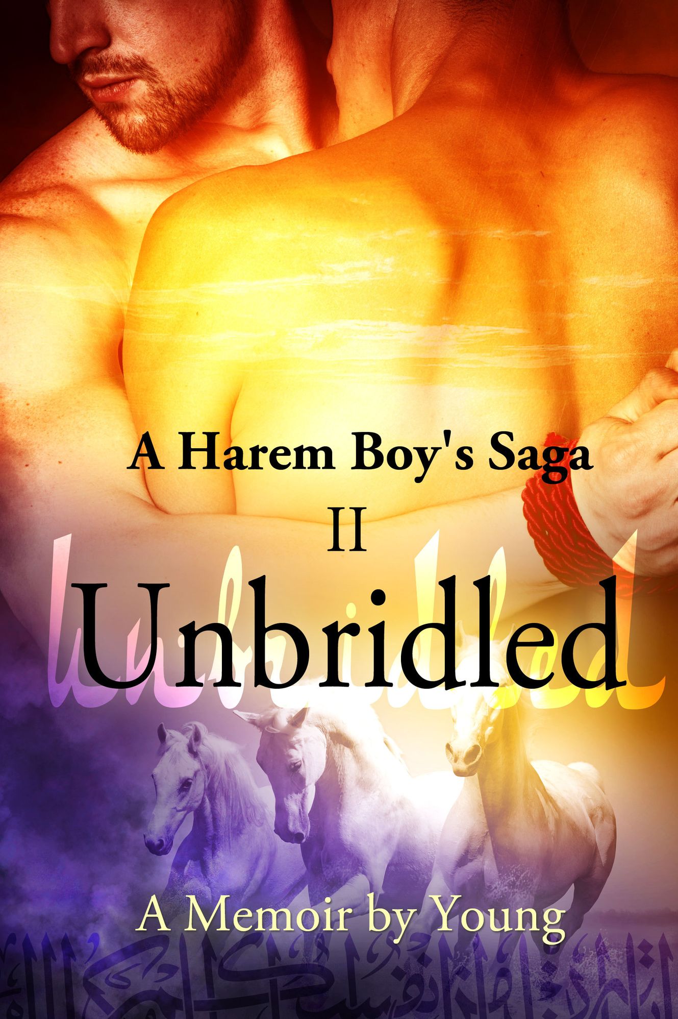 A Harem Boy's Saga: II - Unbridled
