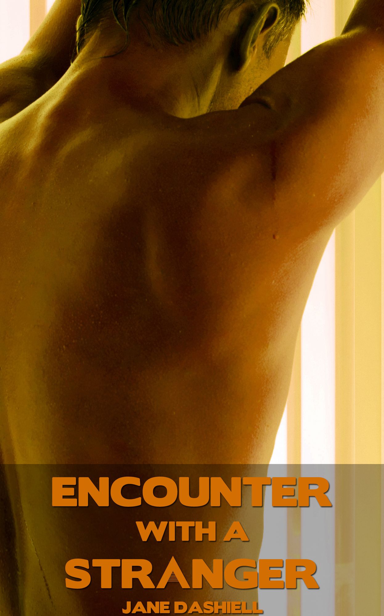 Encounter with a Stranger (Stranger sex gay erotica)