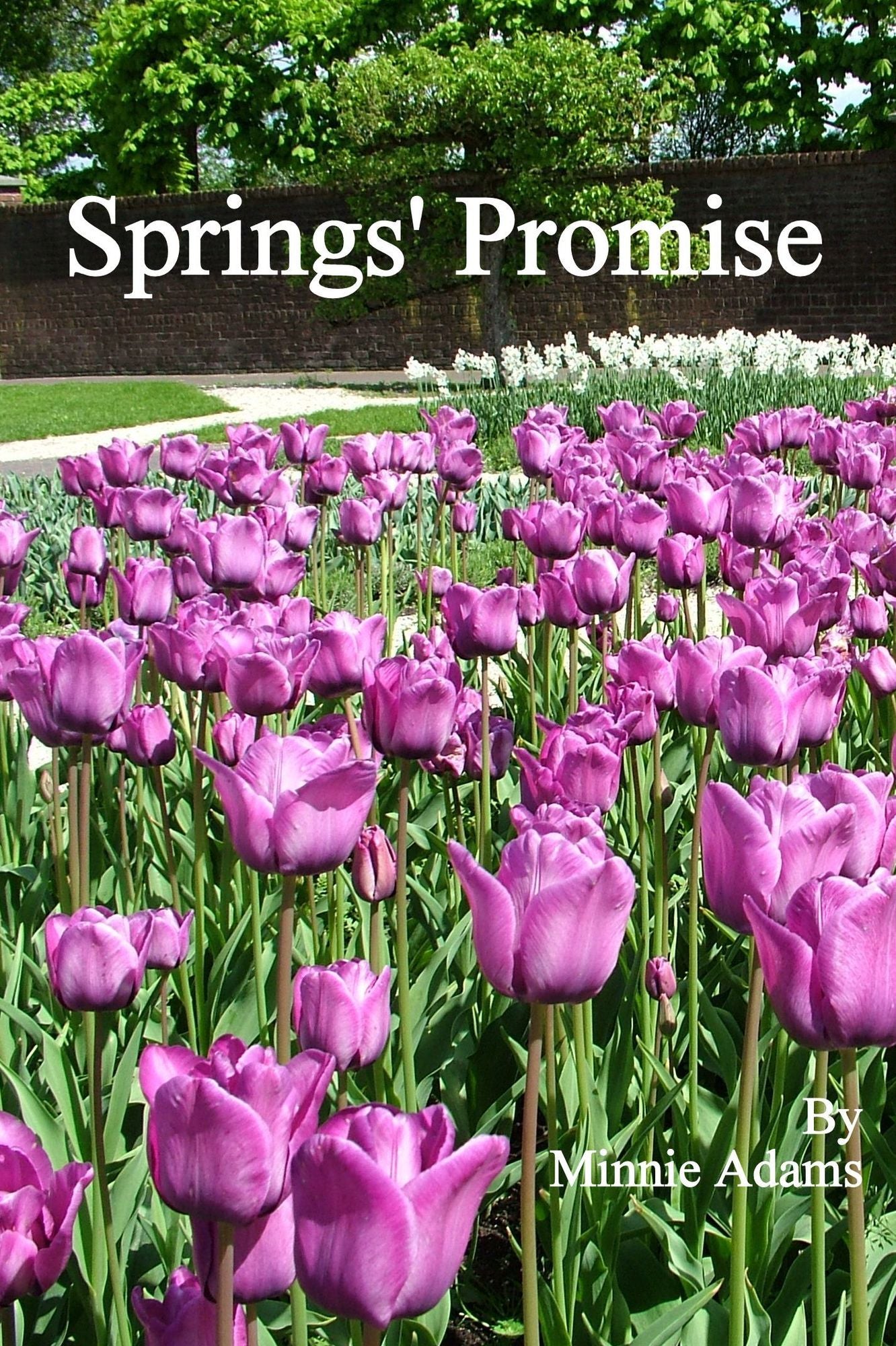 Spring's Promise