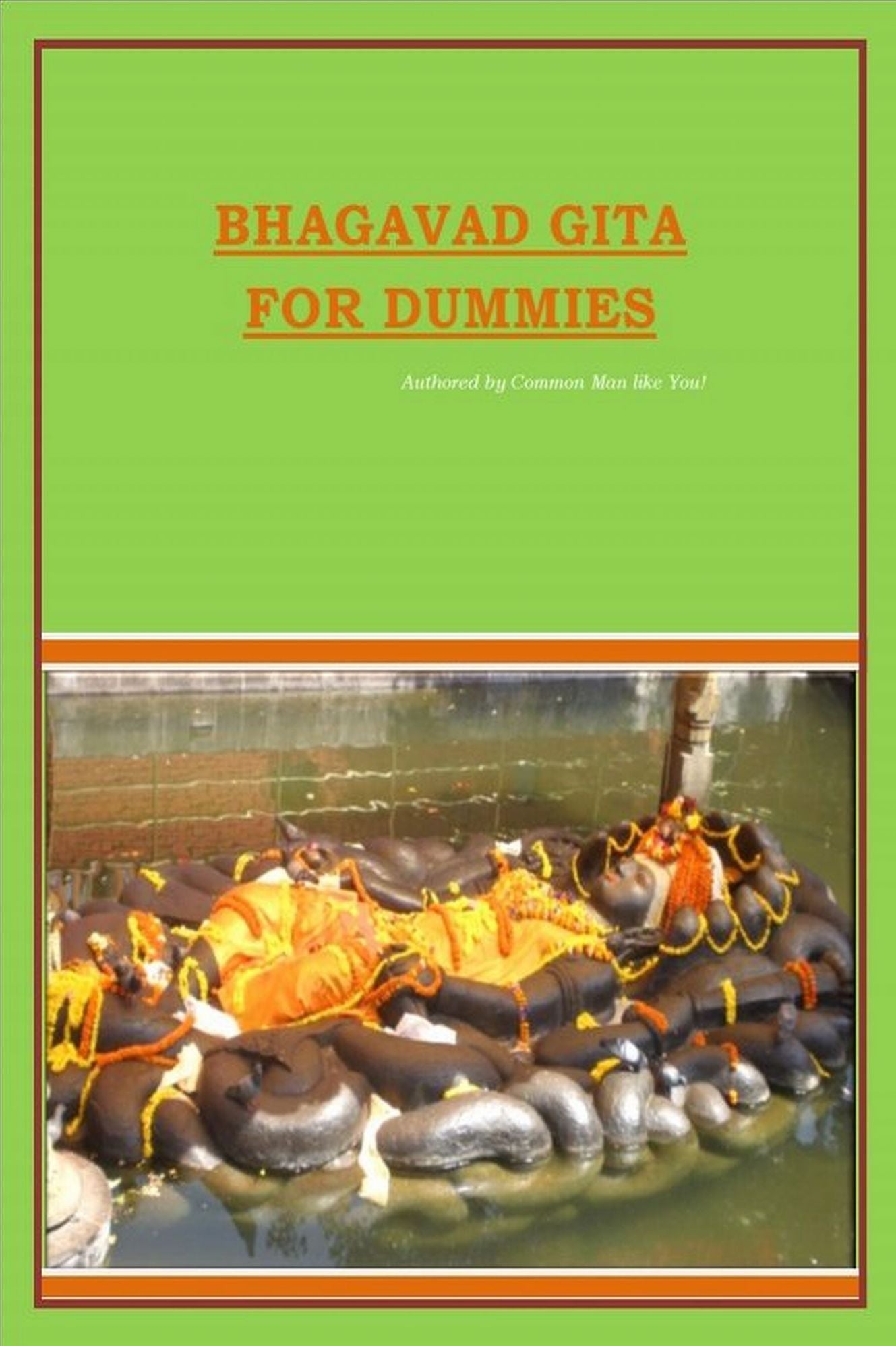 Bhagavad Gita for Dummies